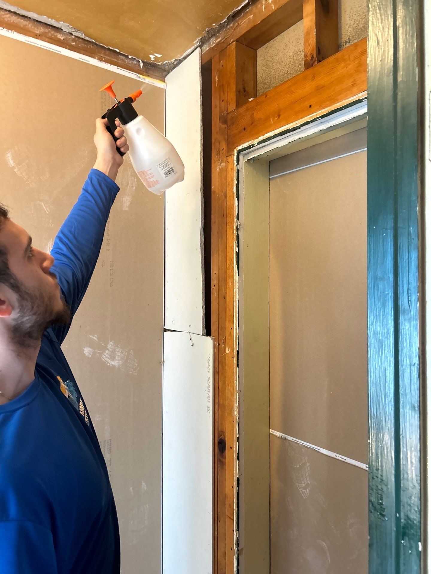Sarasota Mold Remediation by Ampm Restoration Services