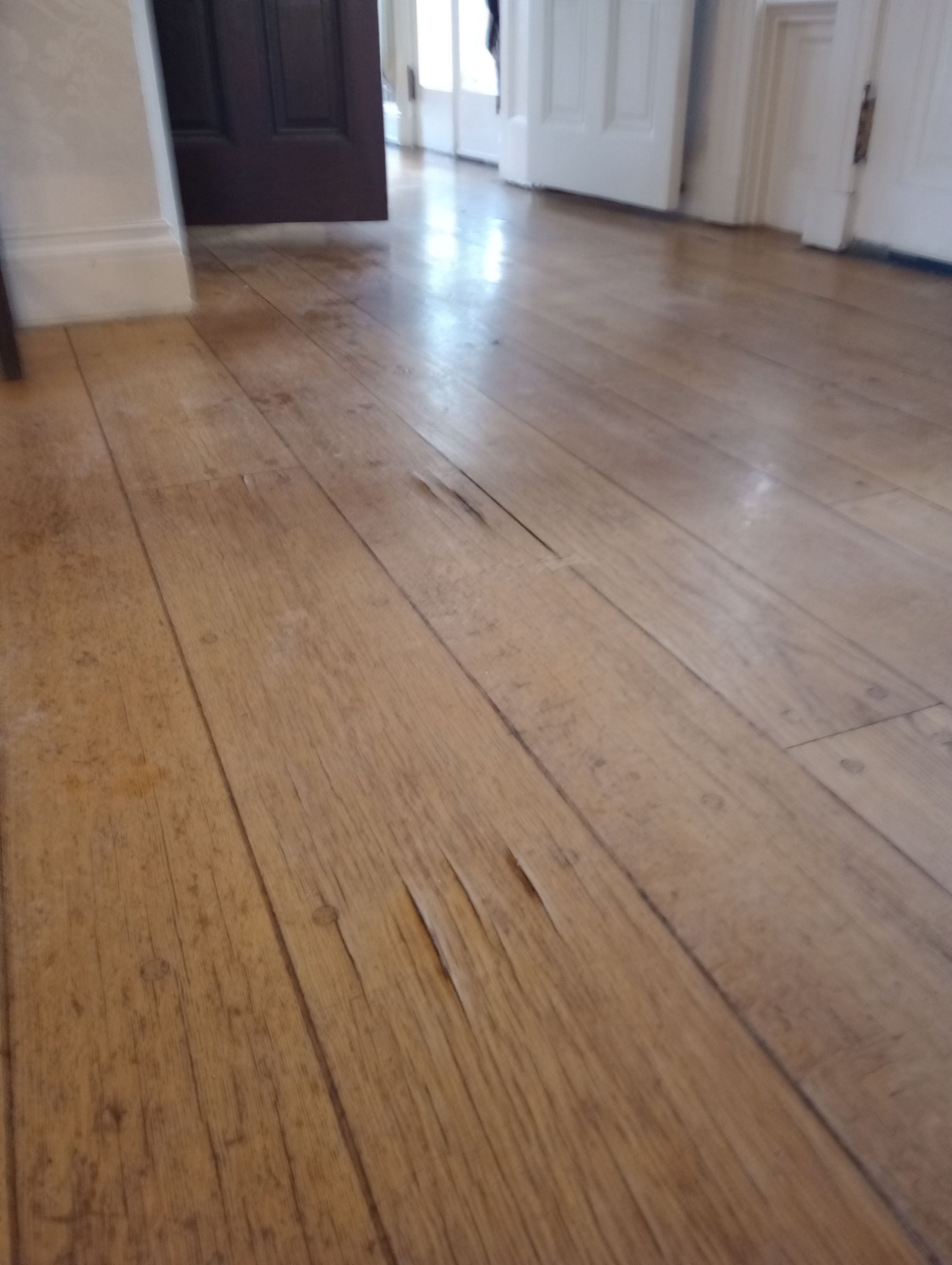 Emergency Water Damage in Commercial Building by ANR Restoration
