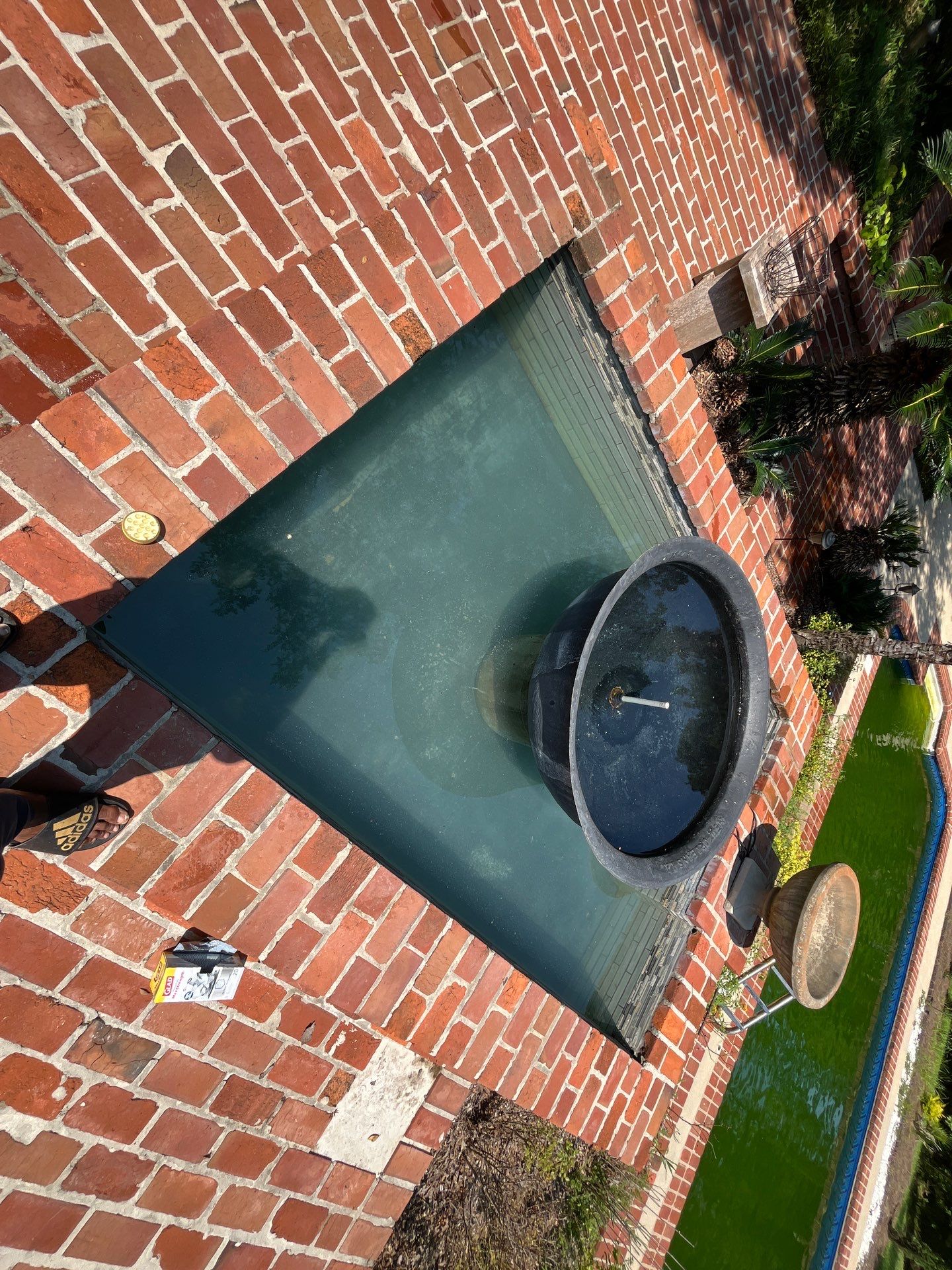 Pool Cleaning using Pool Cleaner by College Bros Outdoor services