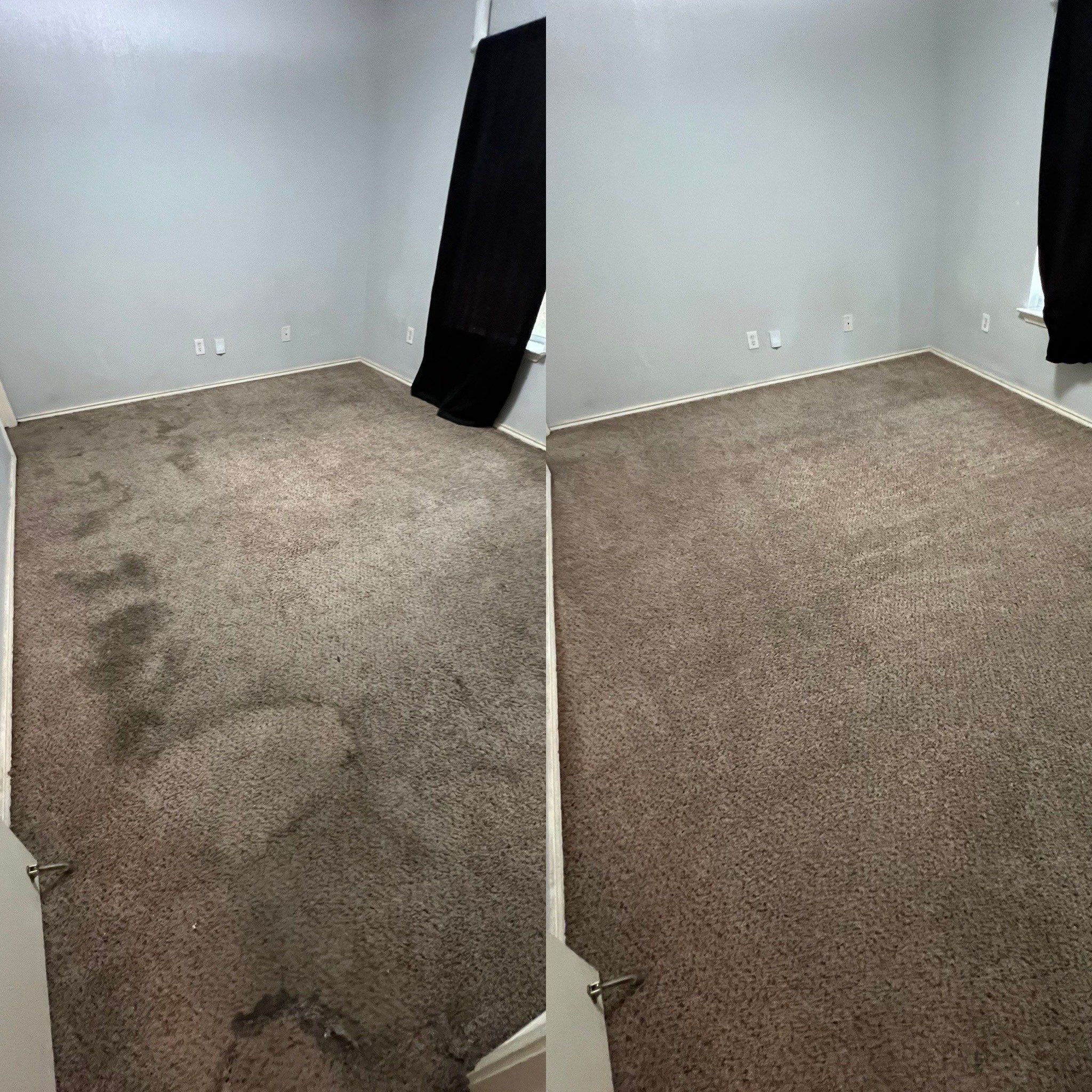 the service shown is deep carpet cleaning transforming a stained floor to a clean and fresh surface