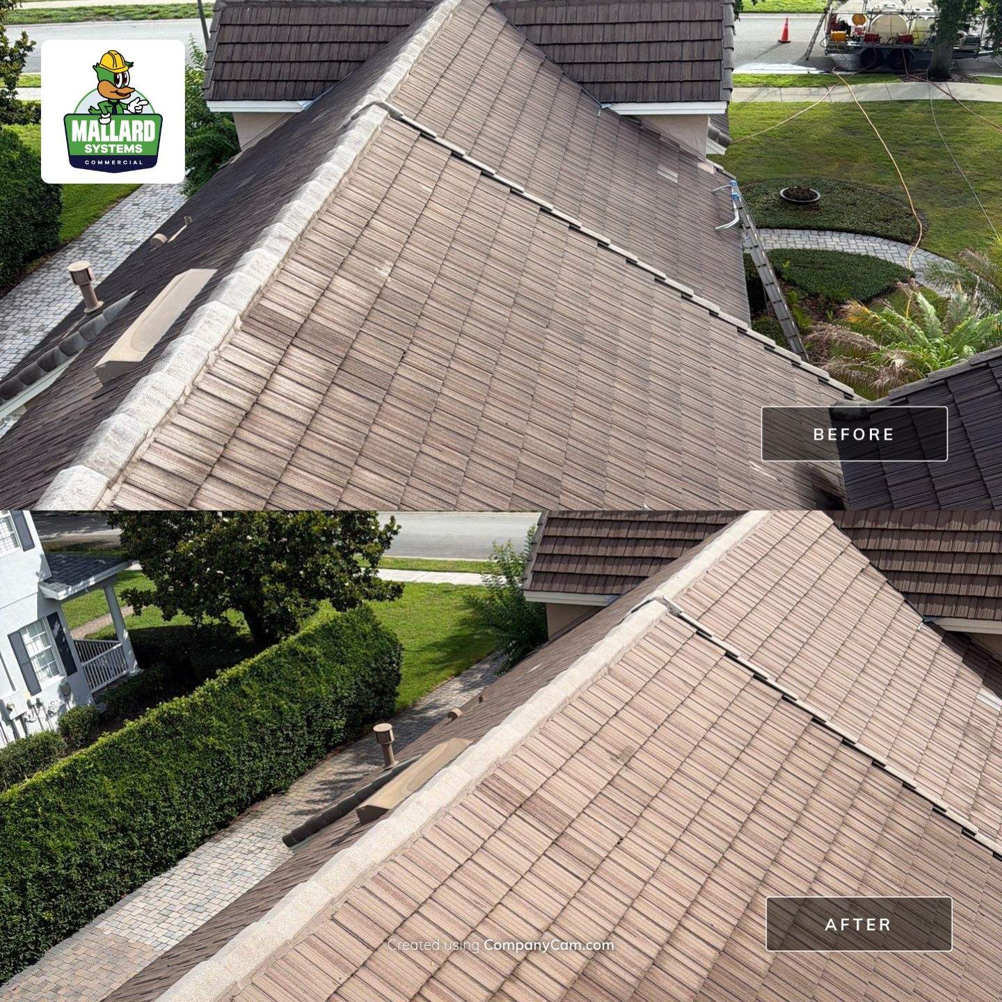 Tile Roof Cleaning in Windermere by Mallard Systems