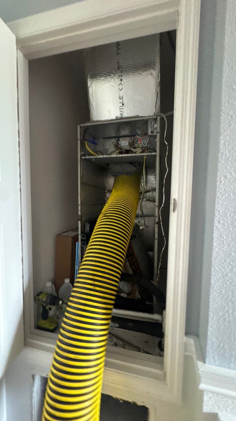 Air Duct and Dryer Vent Cleaning in Clermont by Hygienic Air, Inc