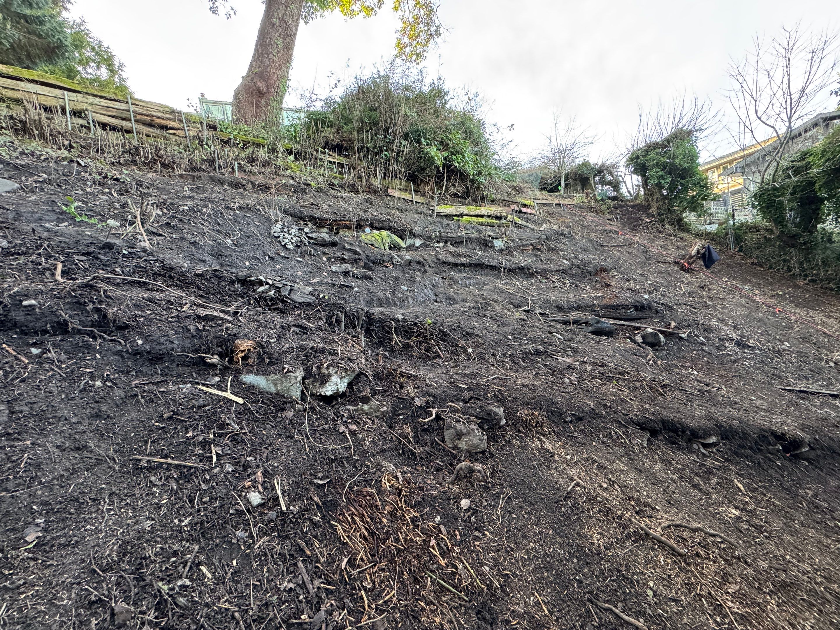Georgia Park Terrace — Living Slope Transformation by Habanero Landscape Solutions