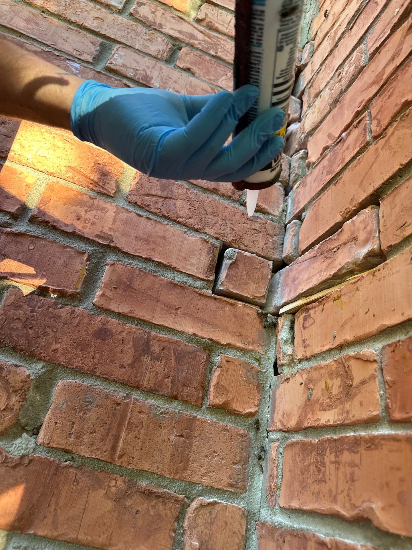 Bees Behind Bricks by Rockwall Honey Bee Company