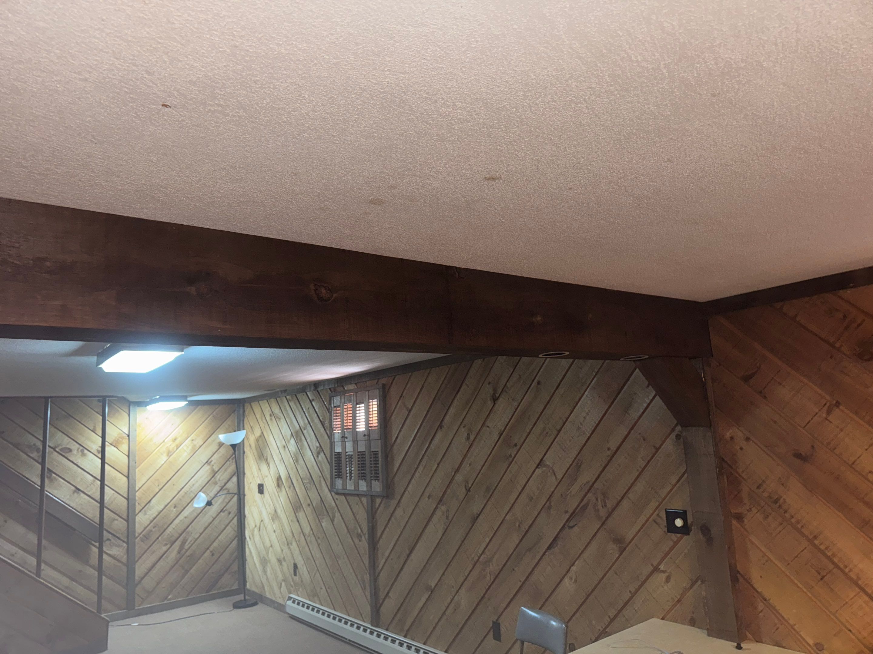 Mold Remediation (Basement) using Home Guarantee by Home Guarantee, LLC
