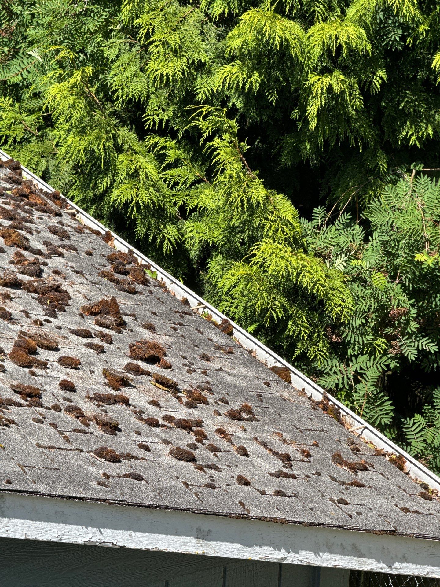 Project by Connolly Construction Company by Peaks and Valleys Construction