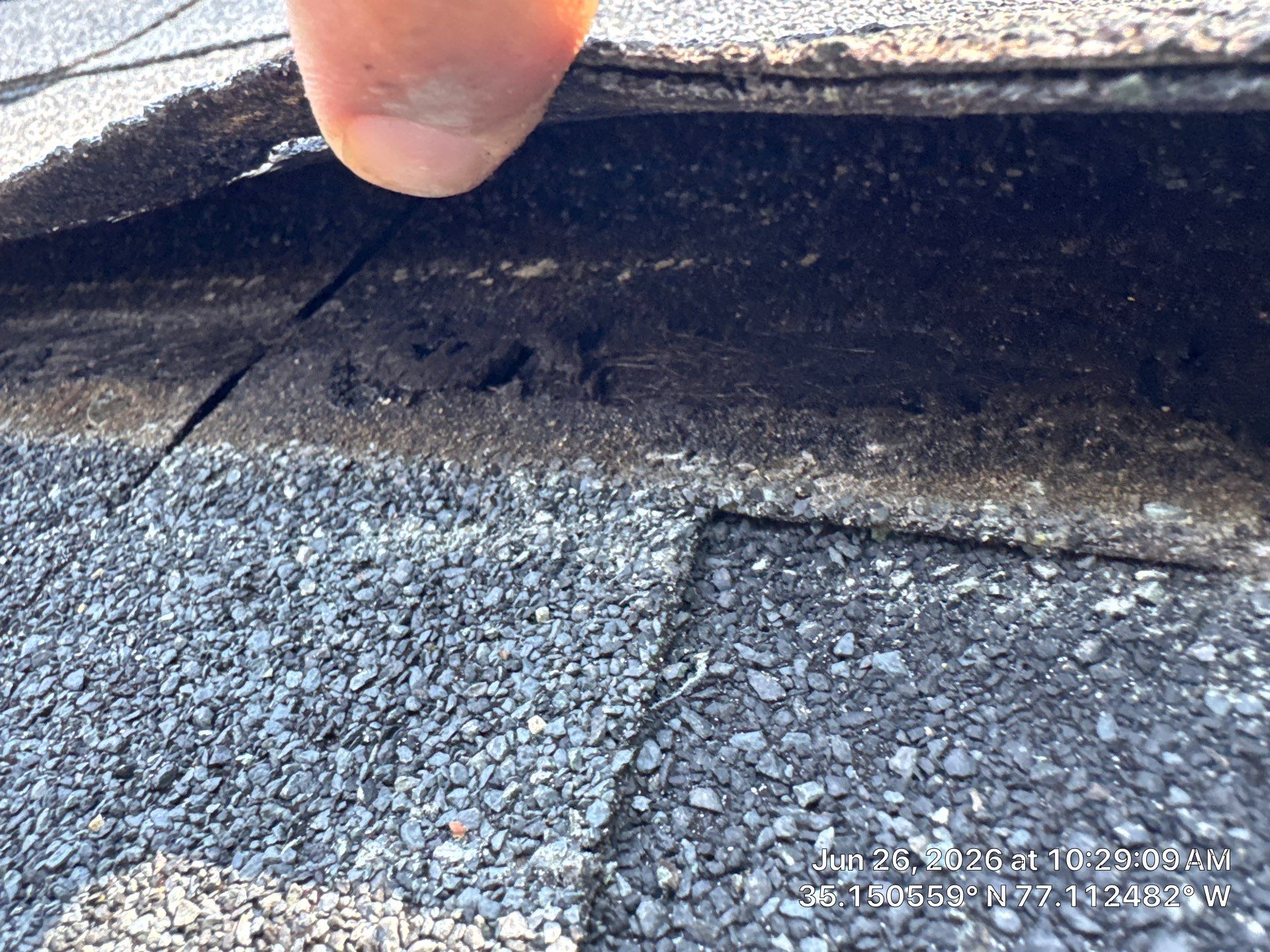 New Bern Roof Replacement Following Storm and Tree Damage by North Carolina Roofs