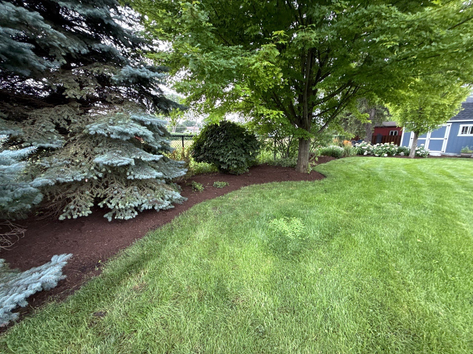 Rob M. - Arlington Heights, IL by A&N 