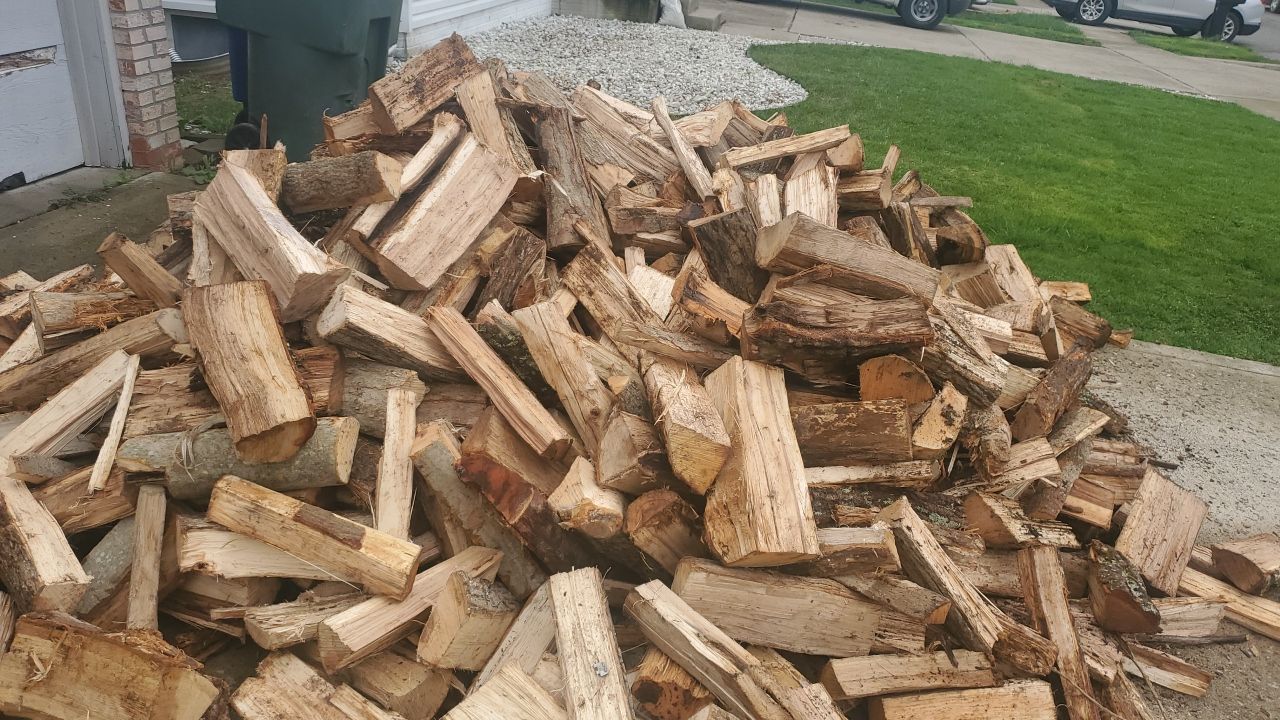 Tree Removal using Tree Removal by Mike Jones & Sons Tree Service LLC 