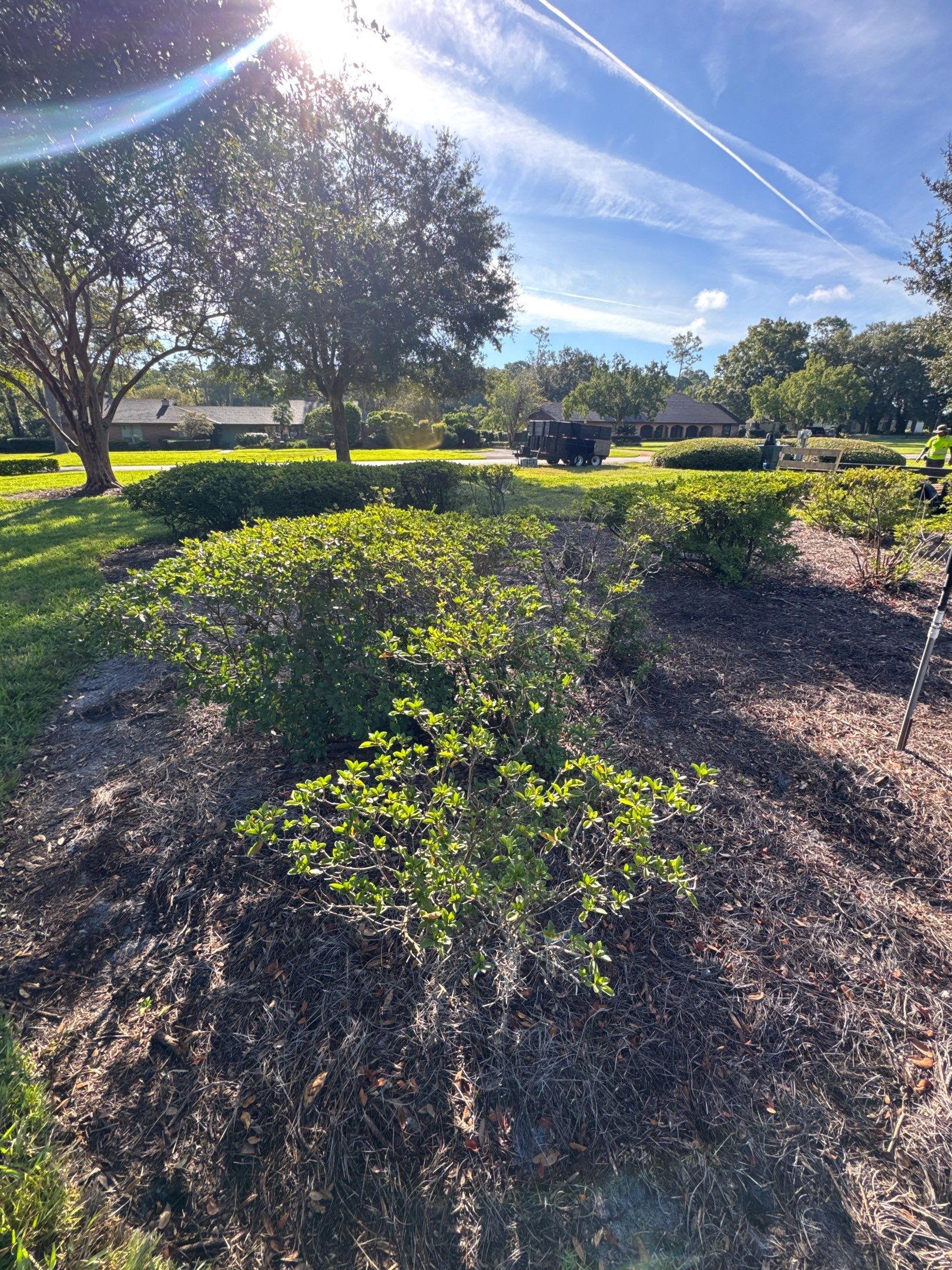 Deerwood Community | Island Landscape Replacement by ProGreen Services