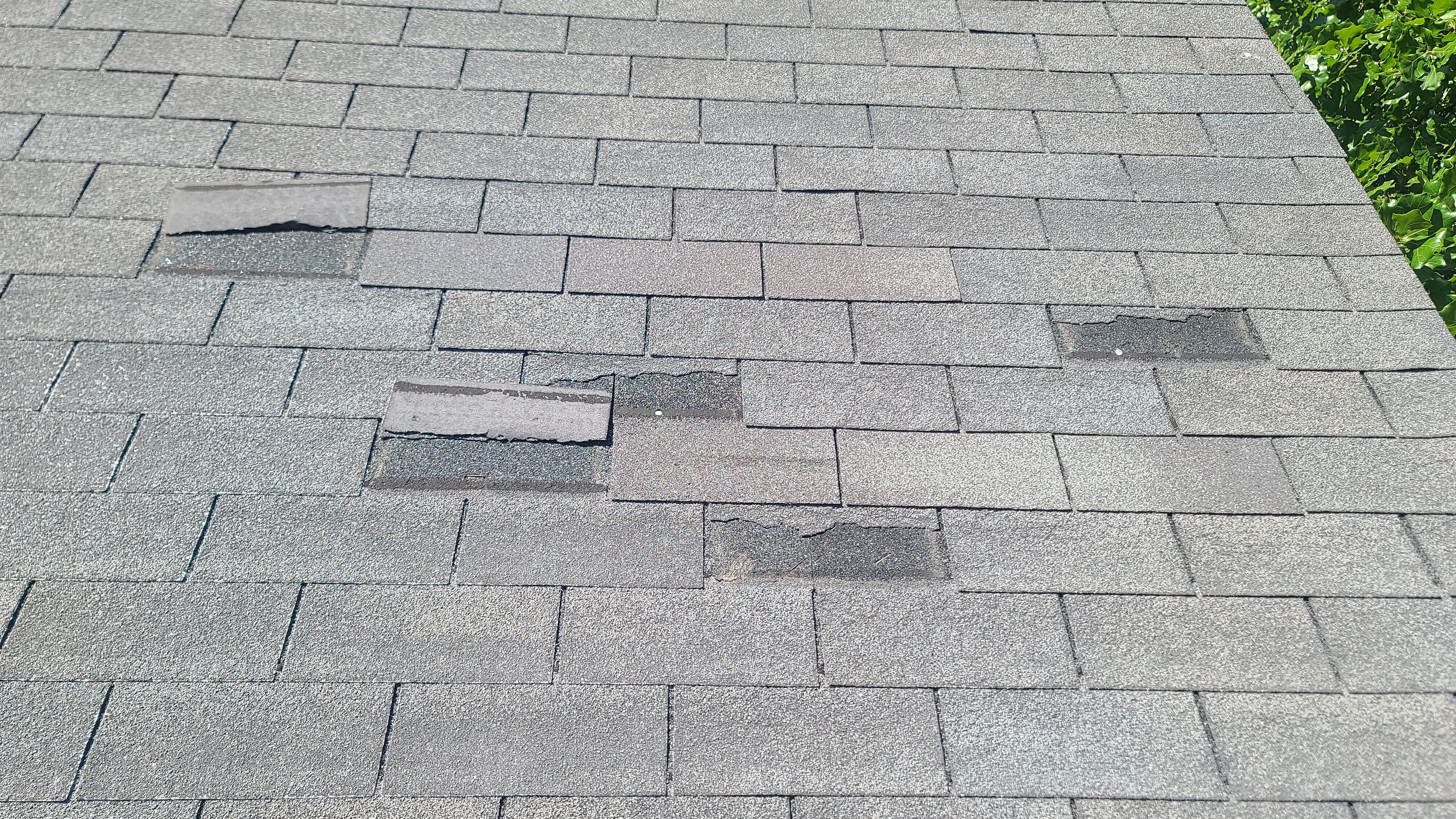 Residential Roof + Gutters & Downspouts Install  by Titan Commercial & Residential Roofing 