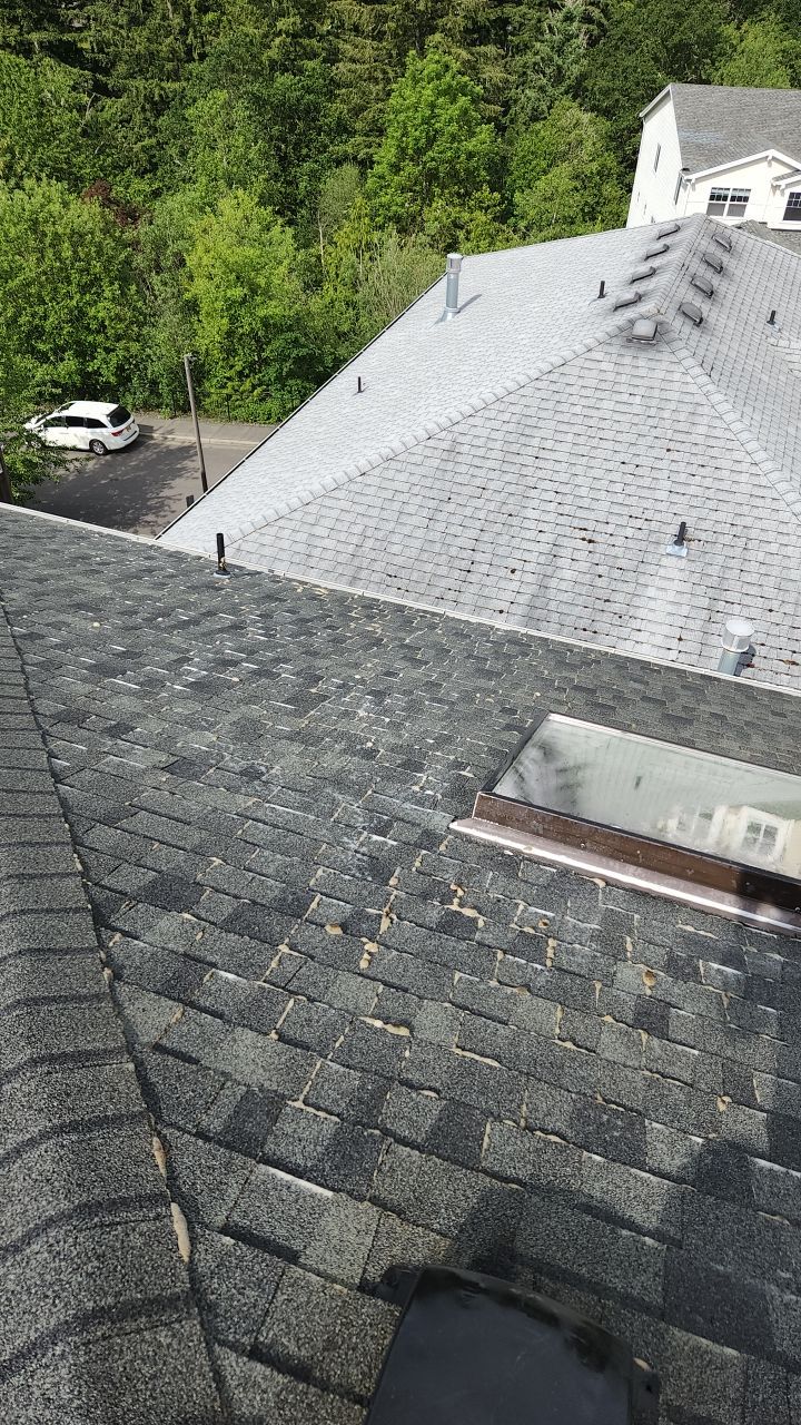 Our Work by Willamette Outdoor Wash LLC