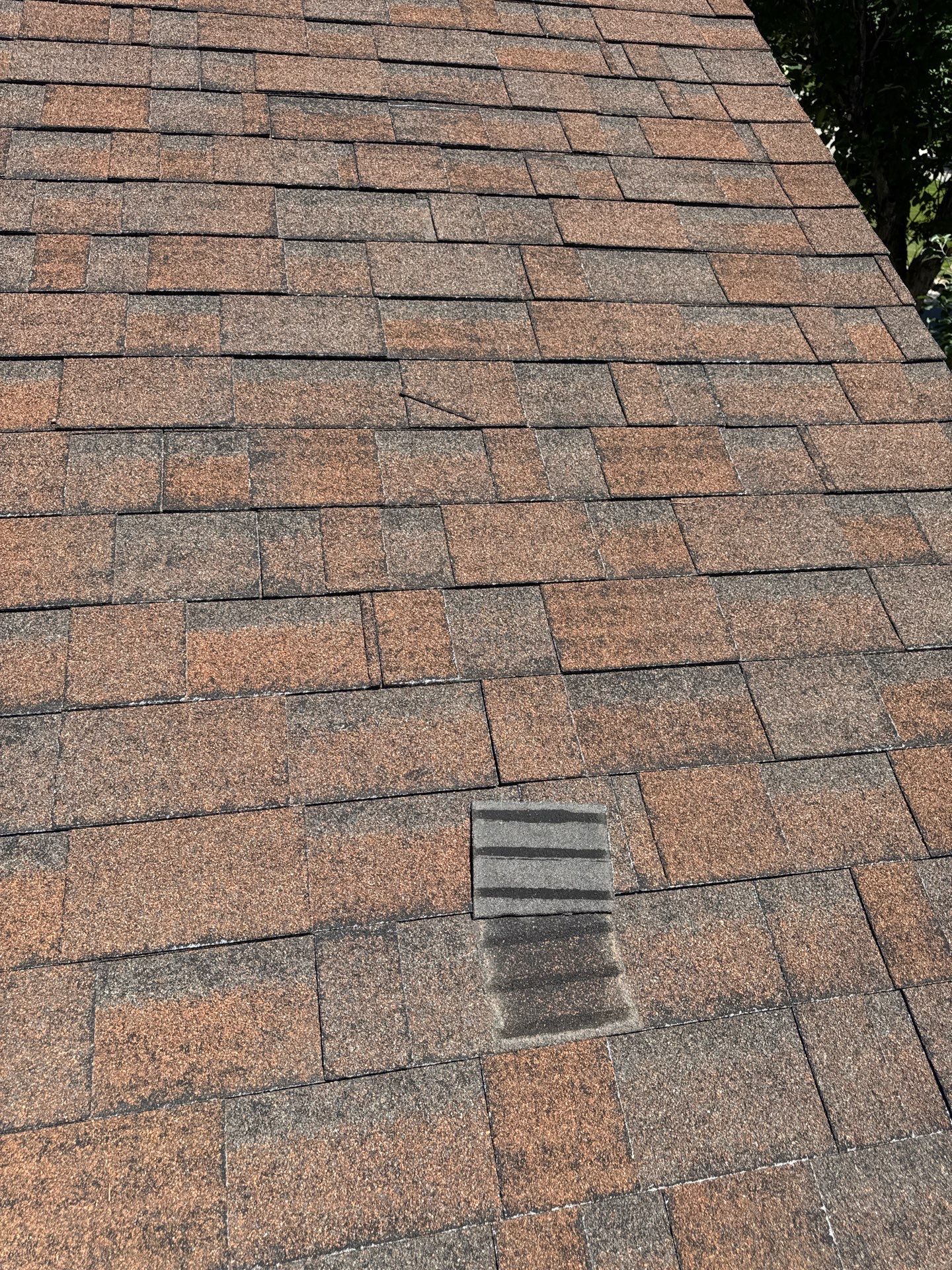 Boise Commercial Roof Replacement with Brown Architectural Shingles by Olive Roofing