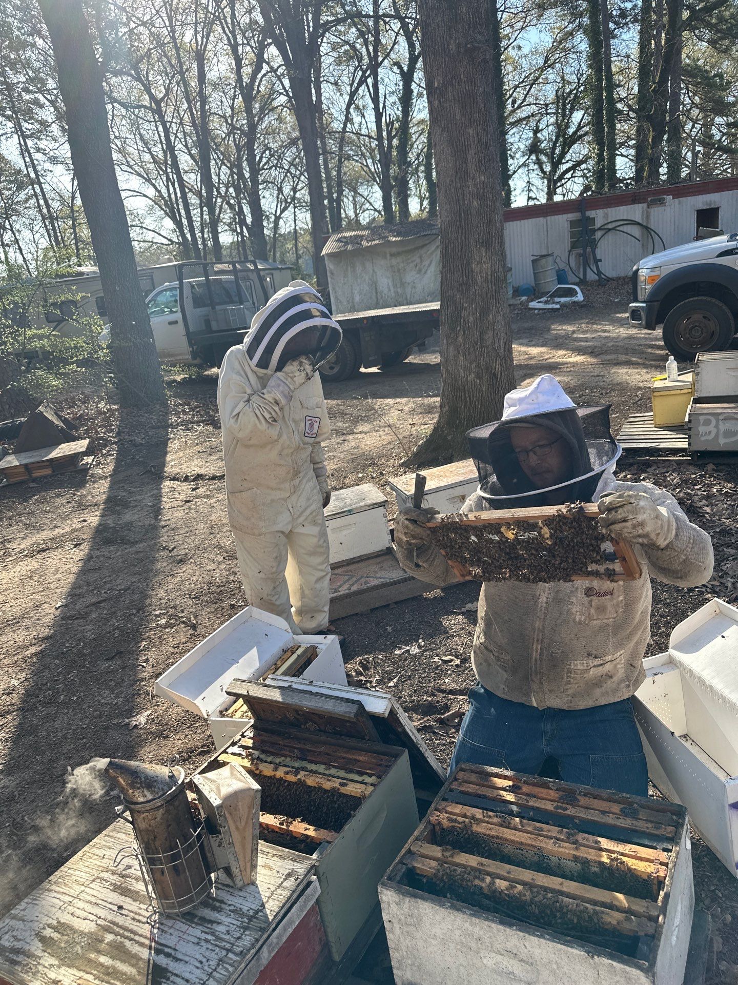 BeeGirl ETX HQ by Rockwall Honey Bee Company