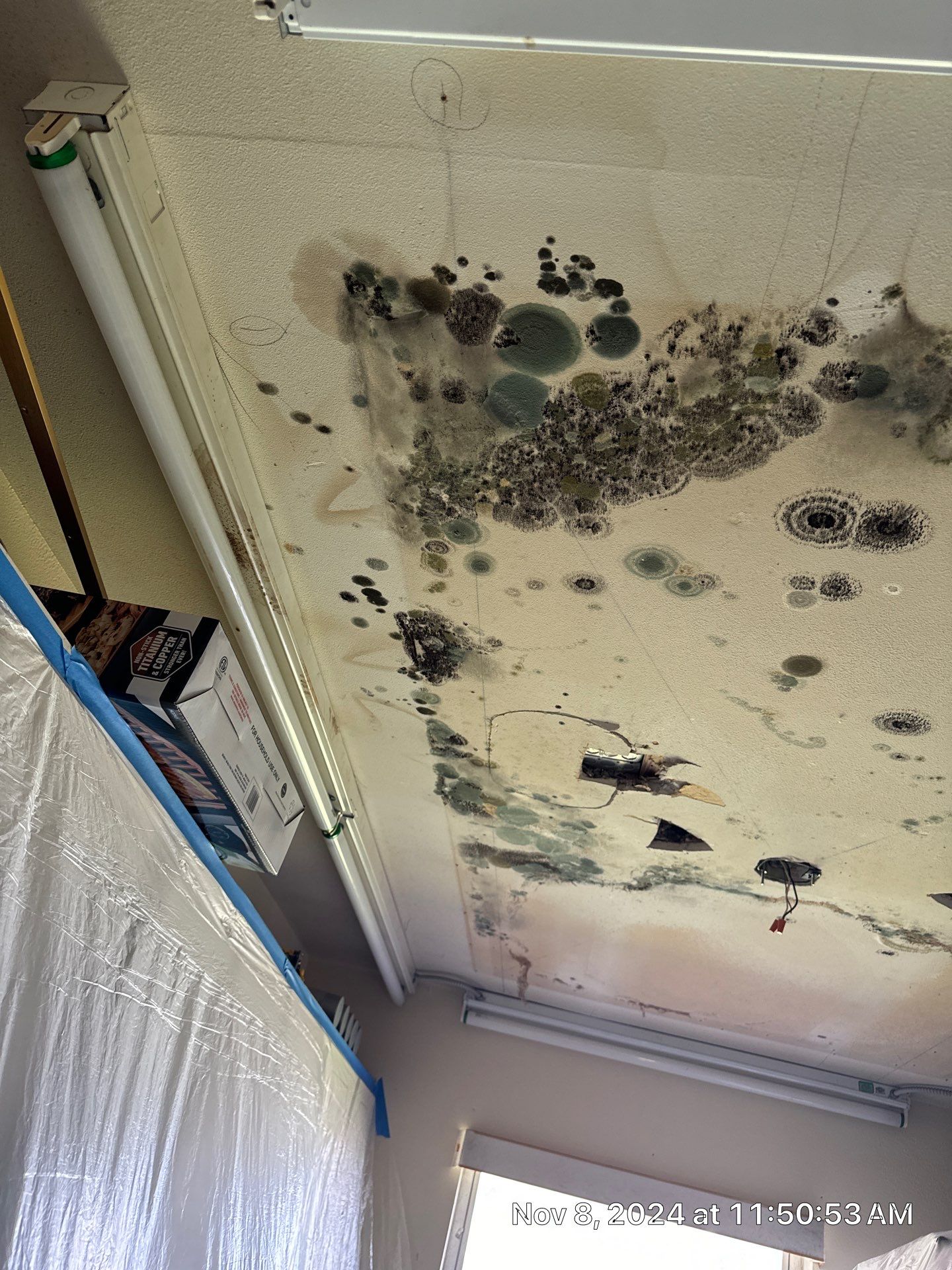 Mold Remediation by SuperClean
