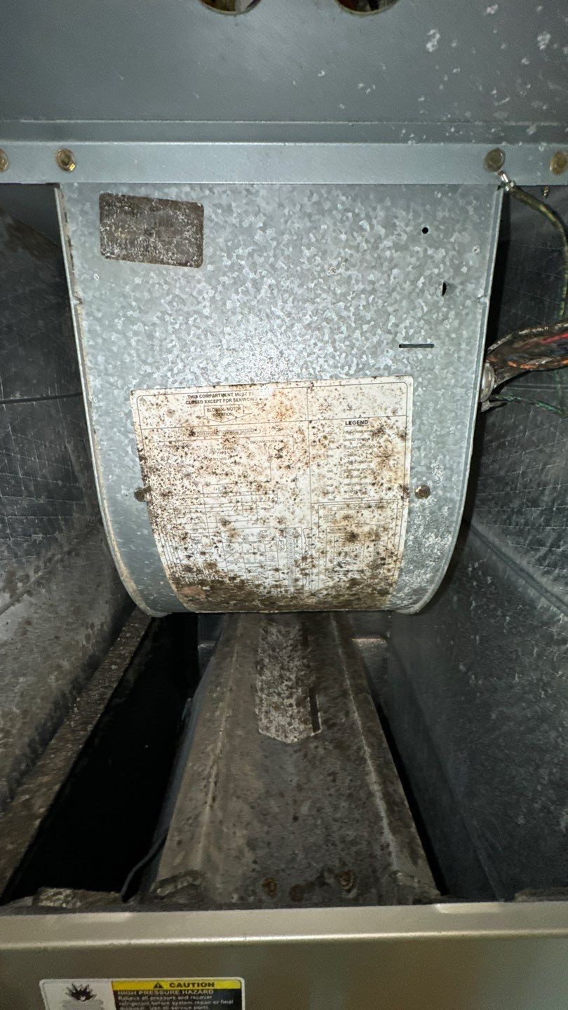 Air Duct Cleaning in Tavares by Hygienic Air, Inc