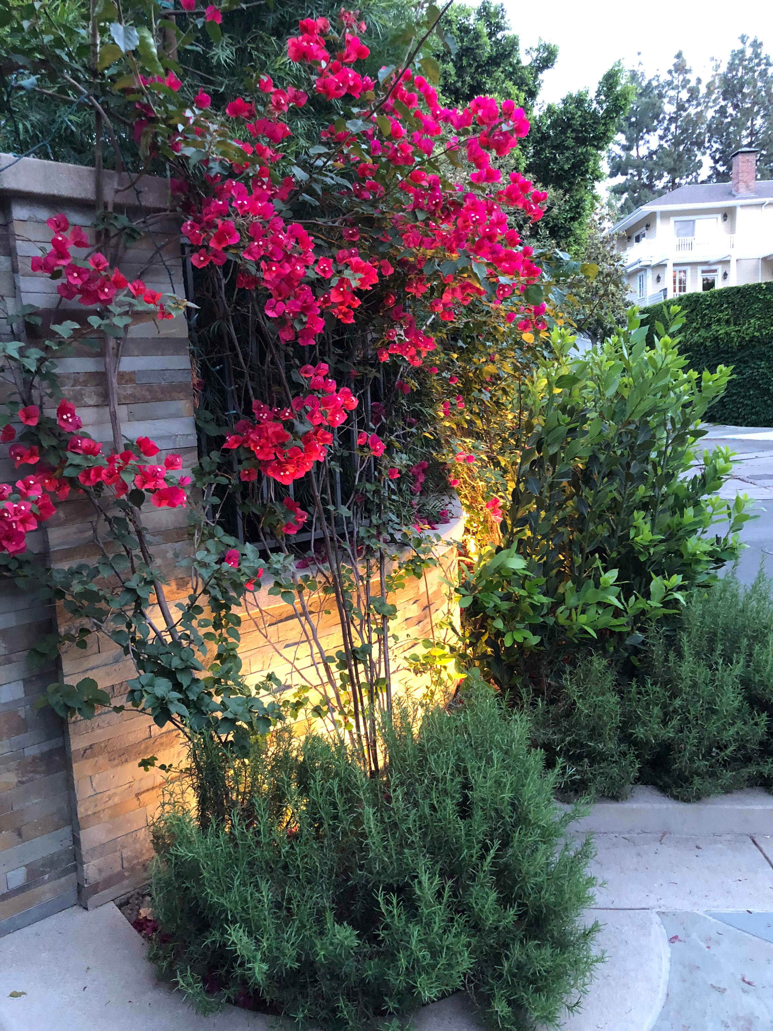 Toluca Lake Outdoor Entertainment + Landscape Lighting by Outdoor Lights + Shades