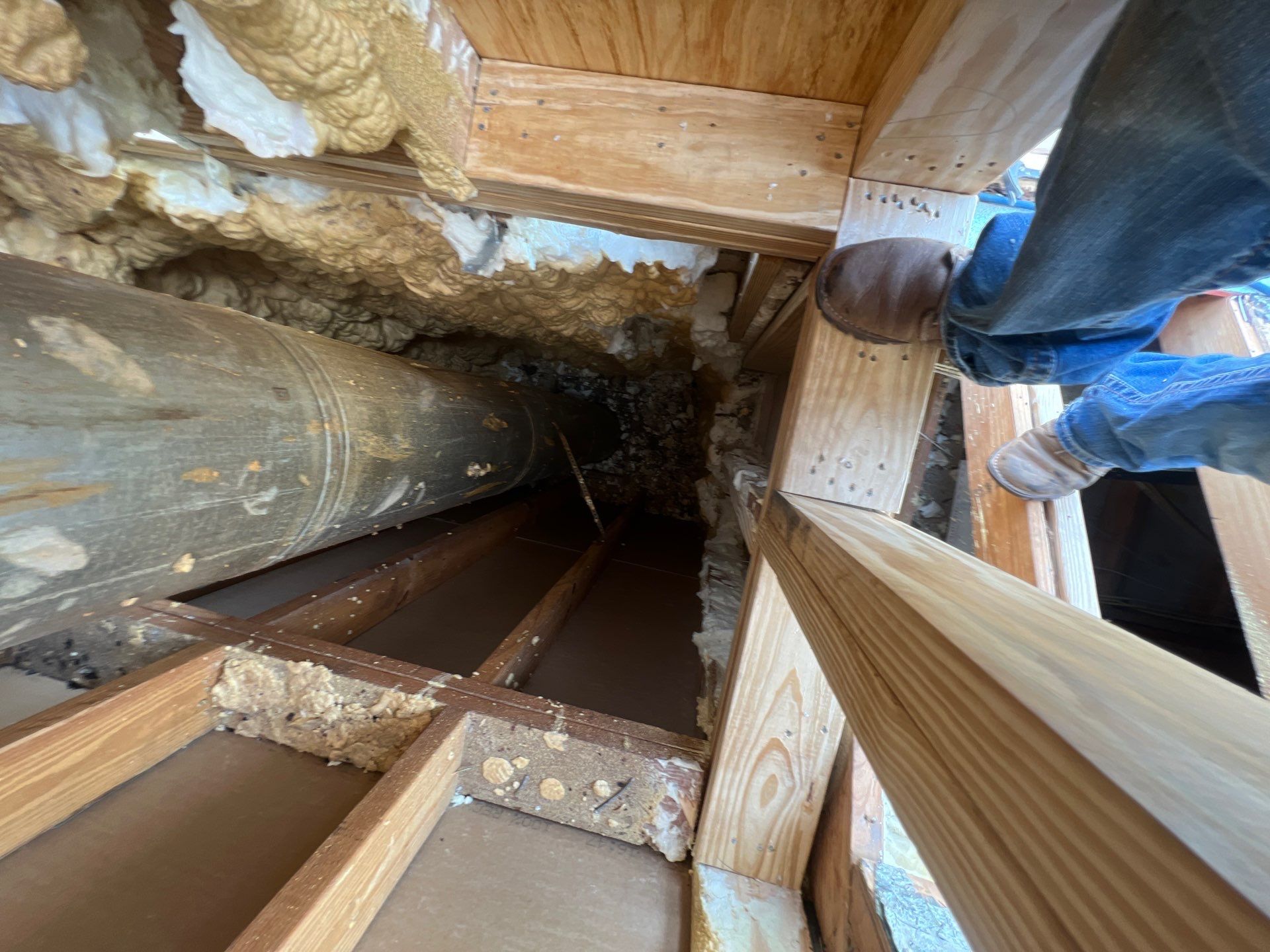 Long Horn Retreat by Bayfront Roofing and Construction