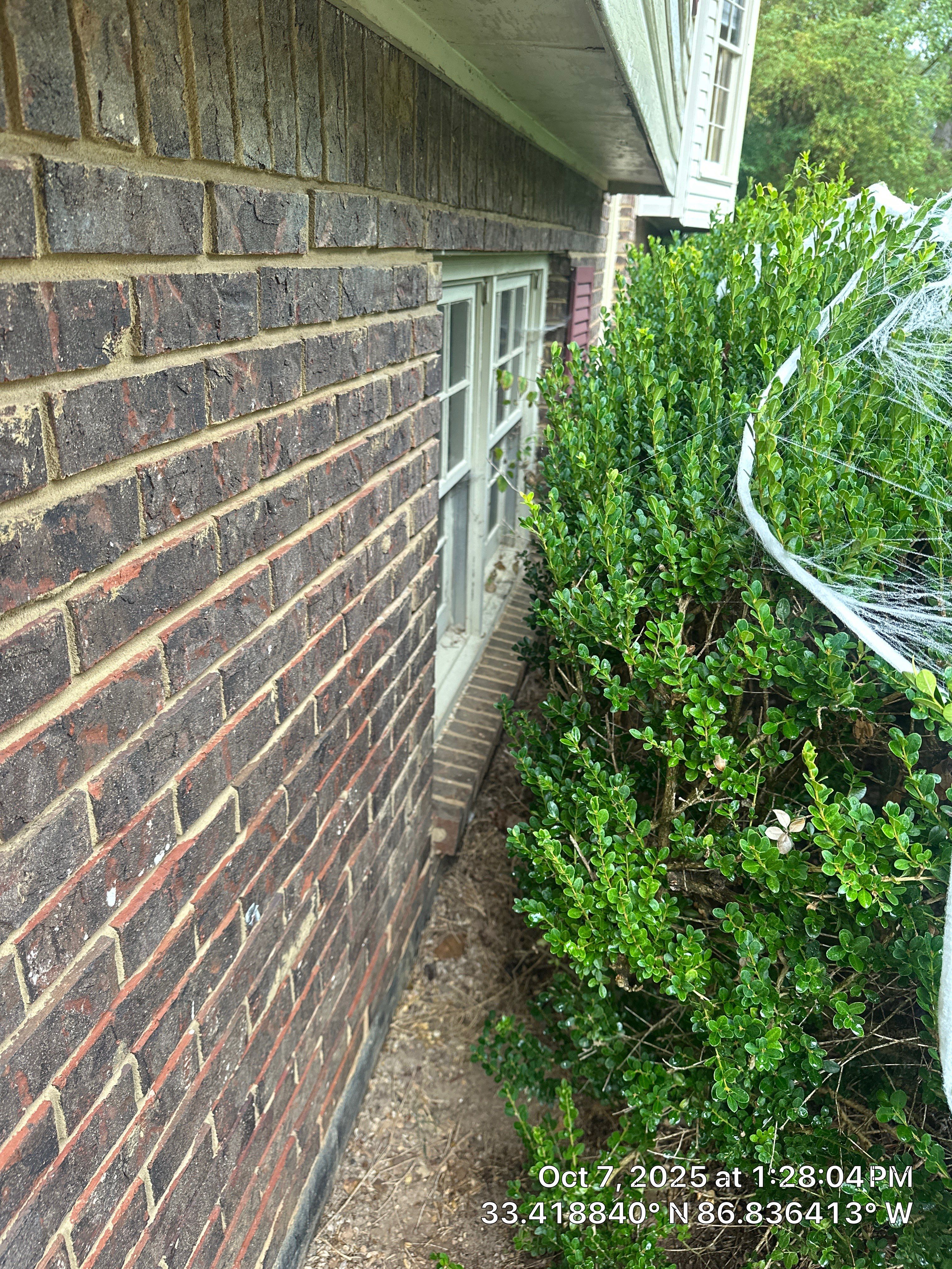 Gunnells Project in Birmingham by The Window Source