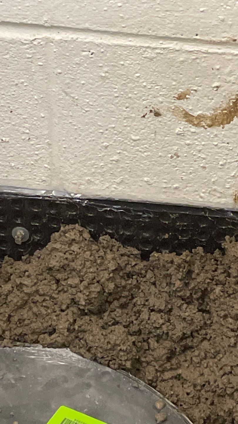 Targeted Drain Tile for Annie by Waterproofing Northeast