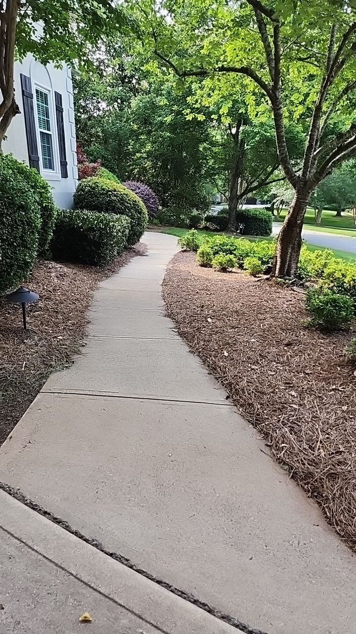 House Wash using cleaner by Power Wash Masters LLC