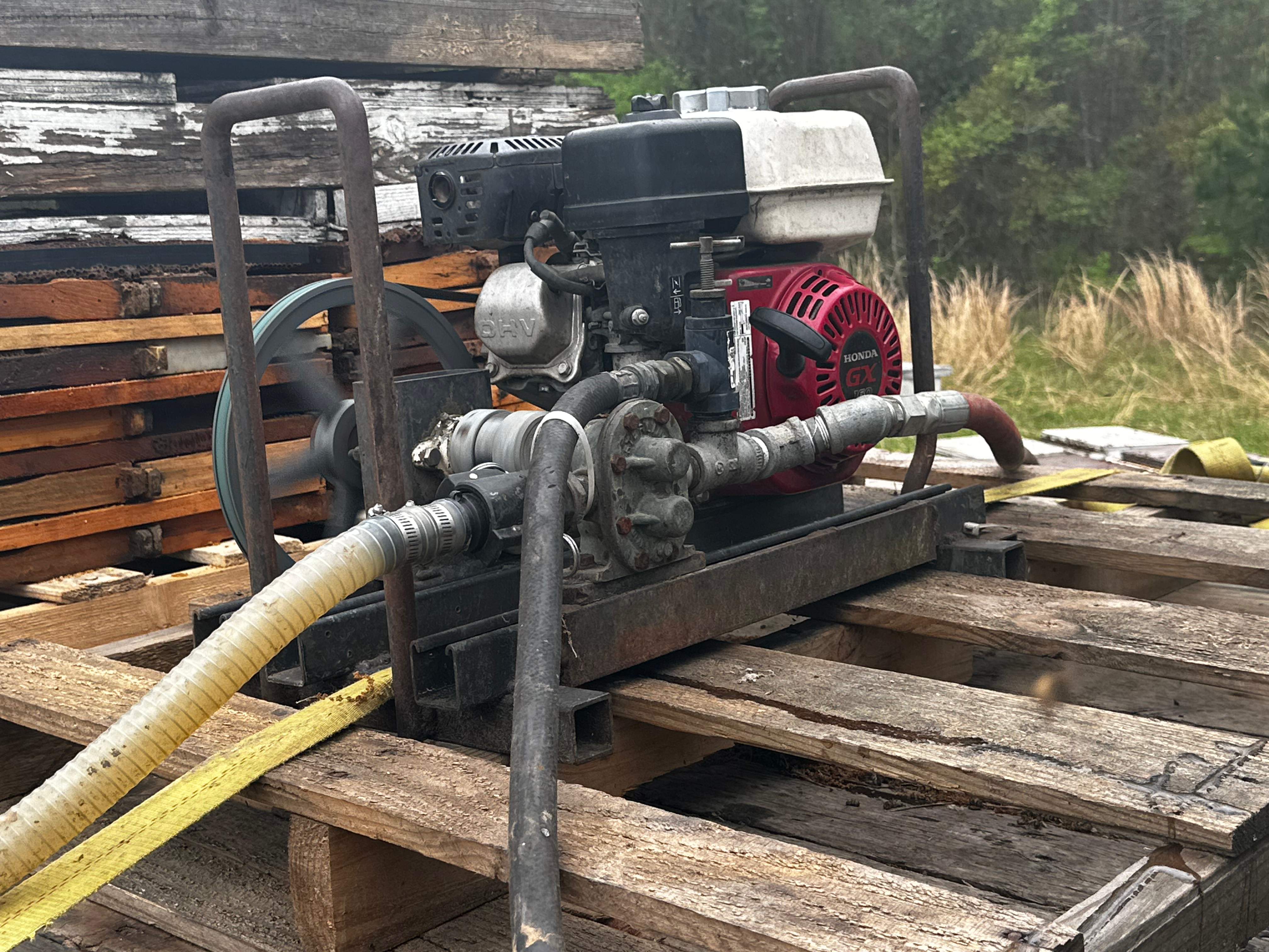 BeeGirl ETX HQ by Rockwall Honey Bee Company