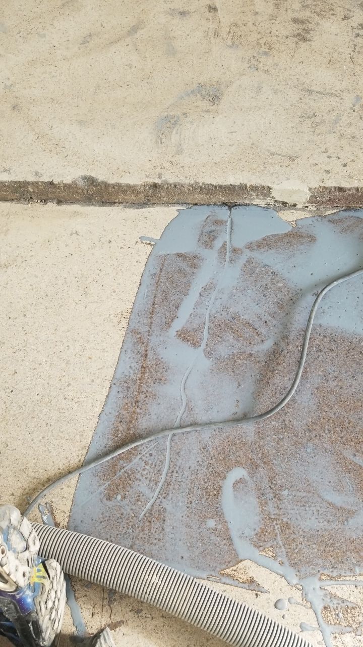 Installers have Feline supervision by Spectrum Painting, LLC