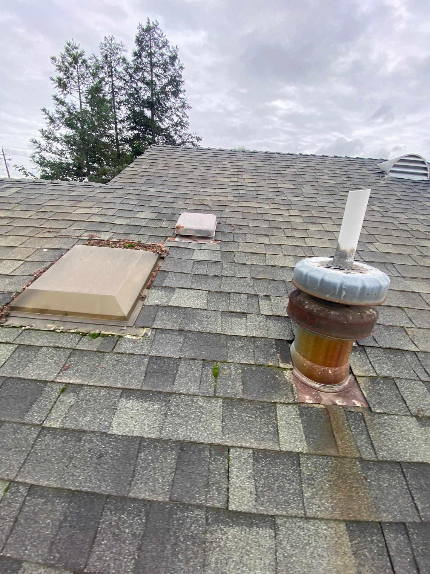 Roof Rejuvenation using Roof Maxx Treatment by Roof Maxx of Folsom