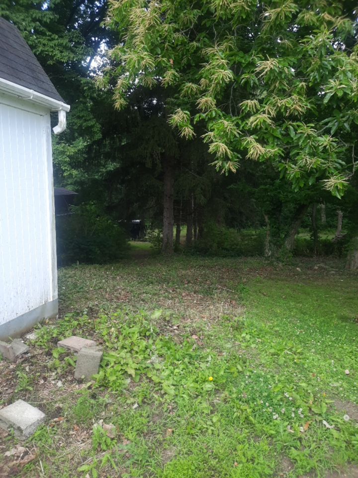 Tree Removal using Tree Removal by Mike Jones & Sons Tree Service LLC 