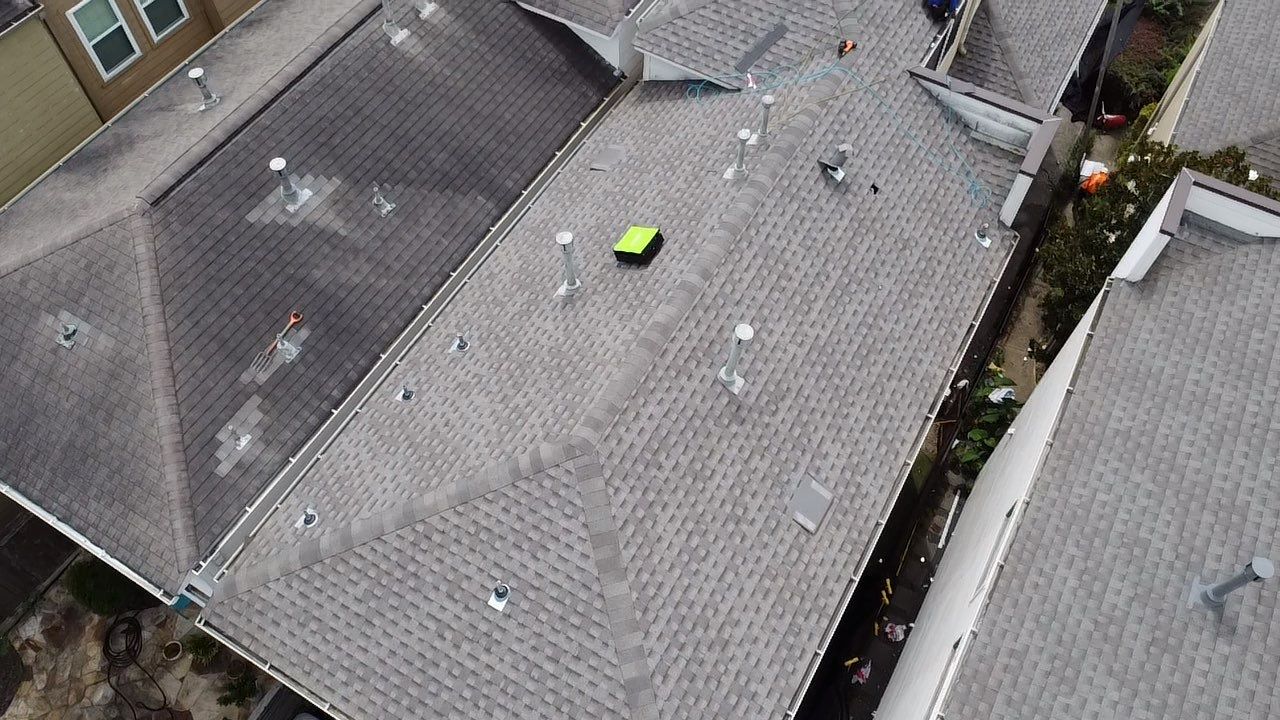 Rebekah T by Boss Hogg Roofing