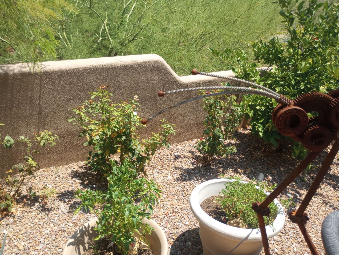 Exterior Painting - Scottsdale by Crash of Rhinos Painting & Garage Floors