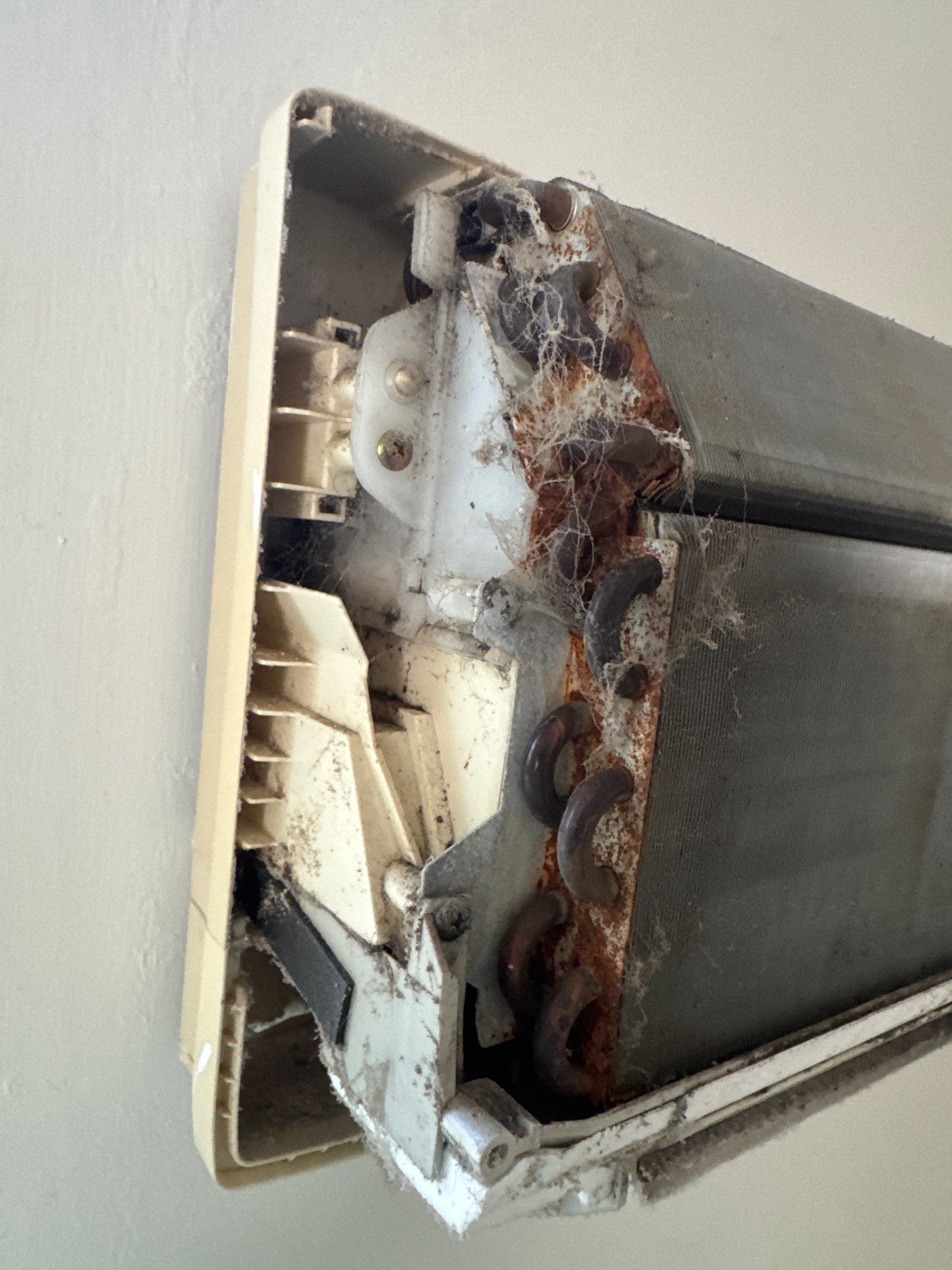 New Paltz, NY — Mini-Split Deep Clean & Biological Growth Removal by Shelter Air