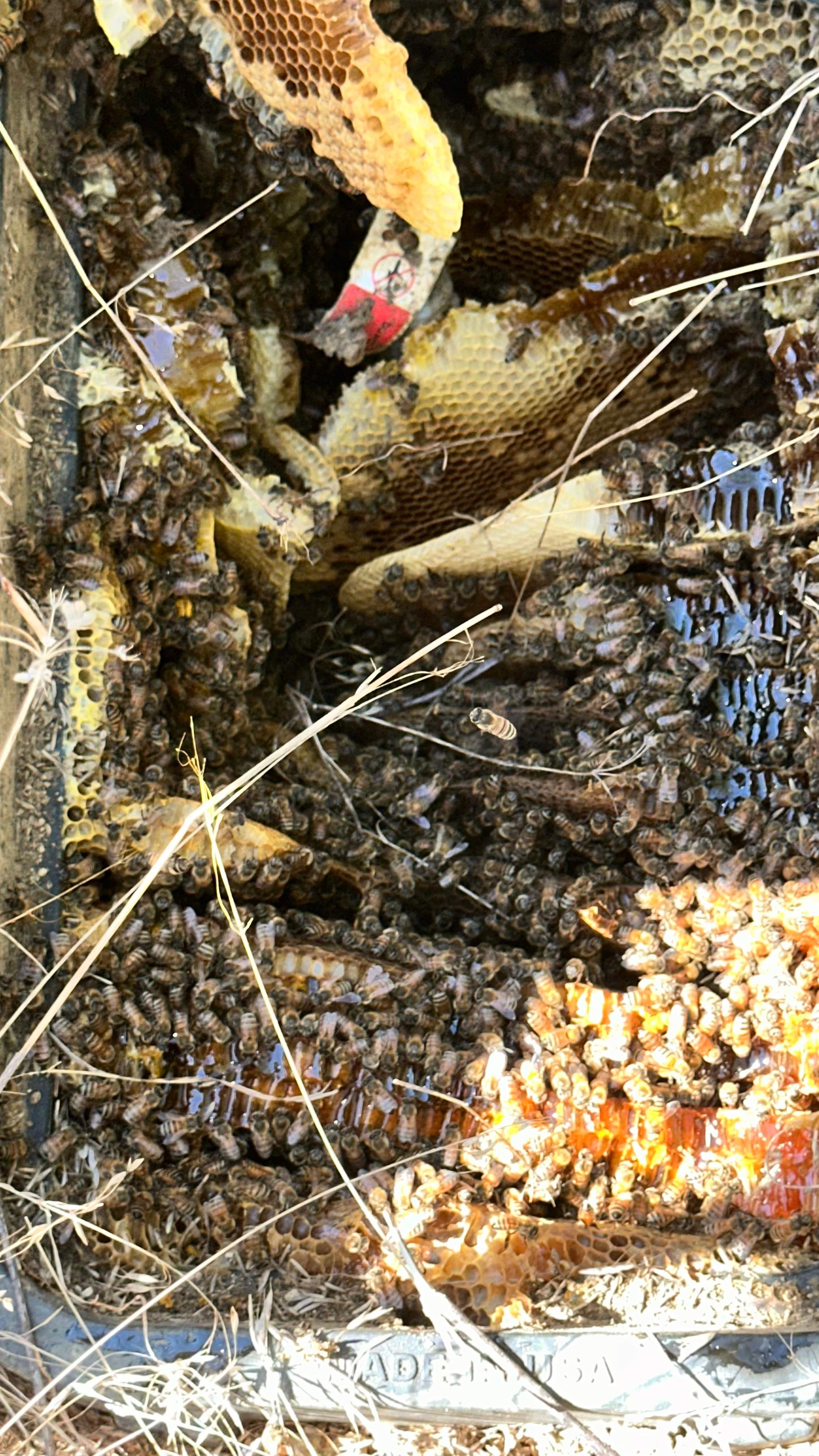 Well Meter by Rockwall Honey Bee Company