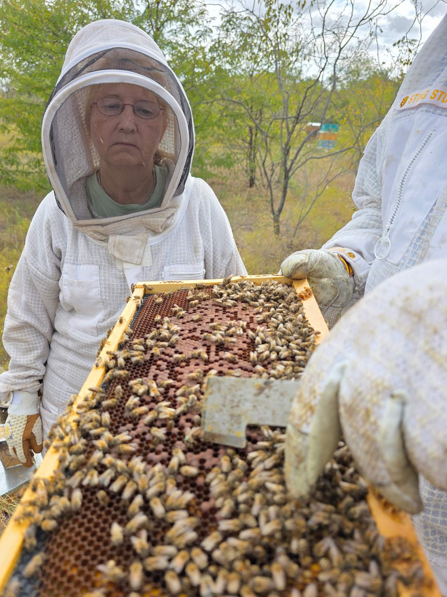 Rockwall Honey Bee Company HQ by Rockwall Honey Bee Company