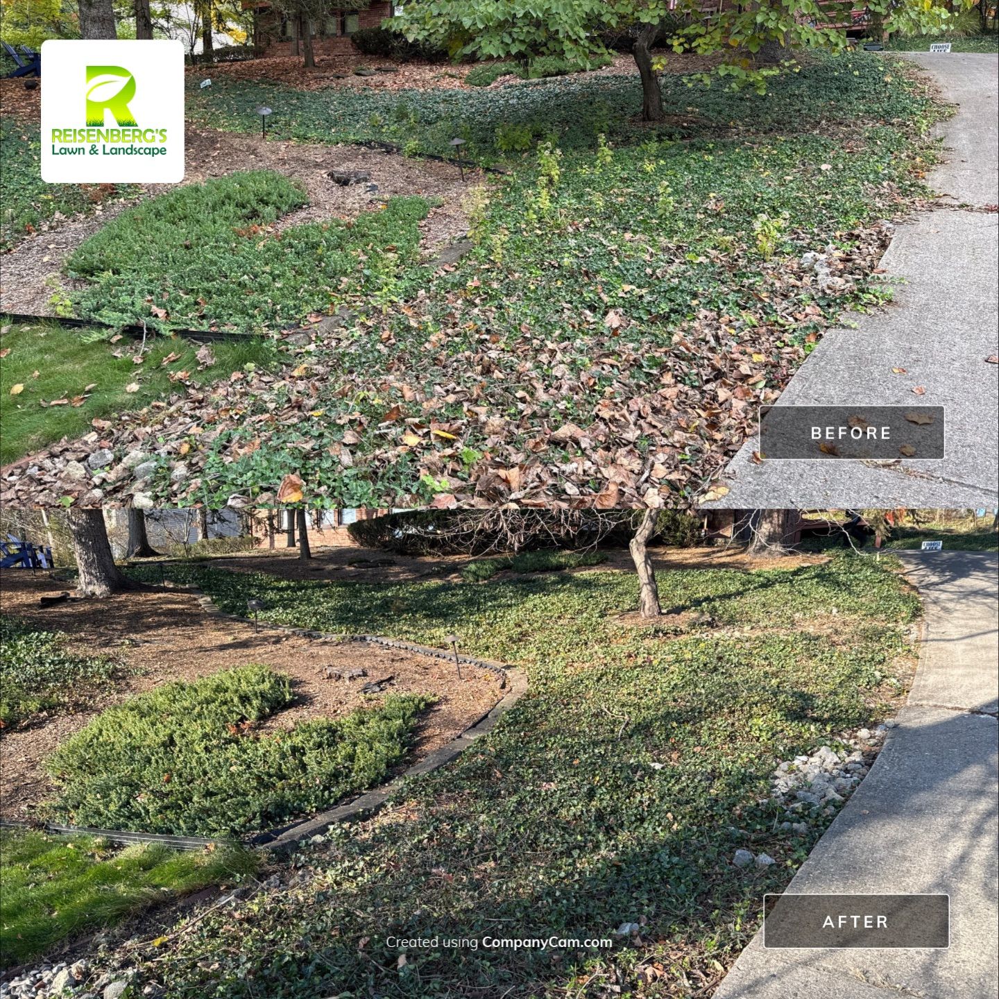 Fall Clean Up & Leaf Removal  by Reisenberg’s Lawn & Landscape, LLC