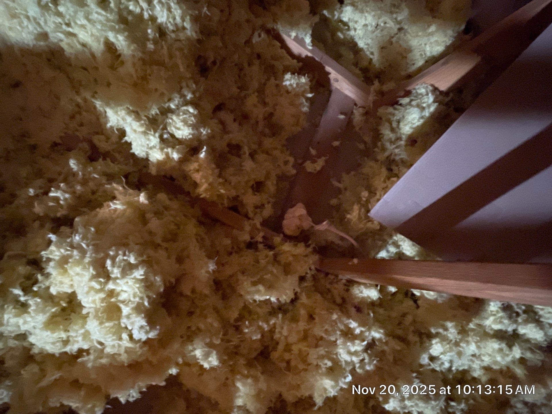 Project in Herndon, VA by Founders Insulation