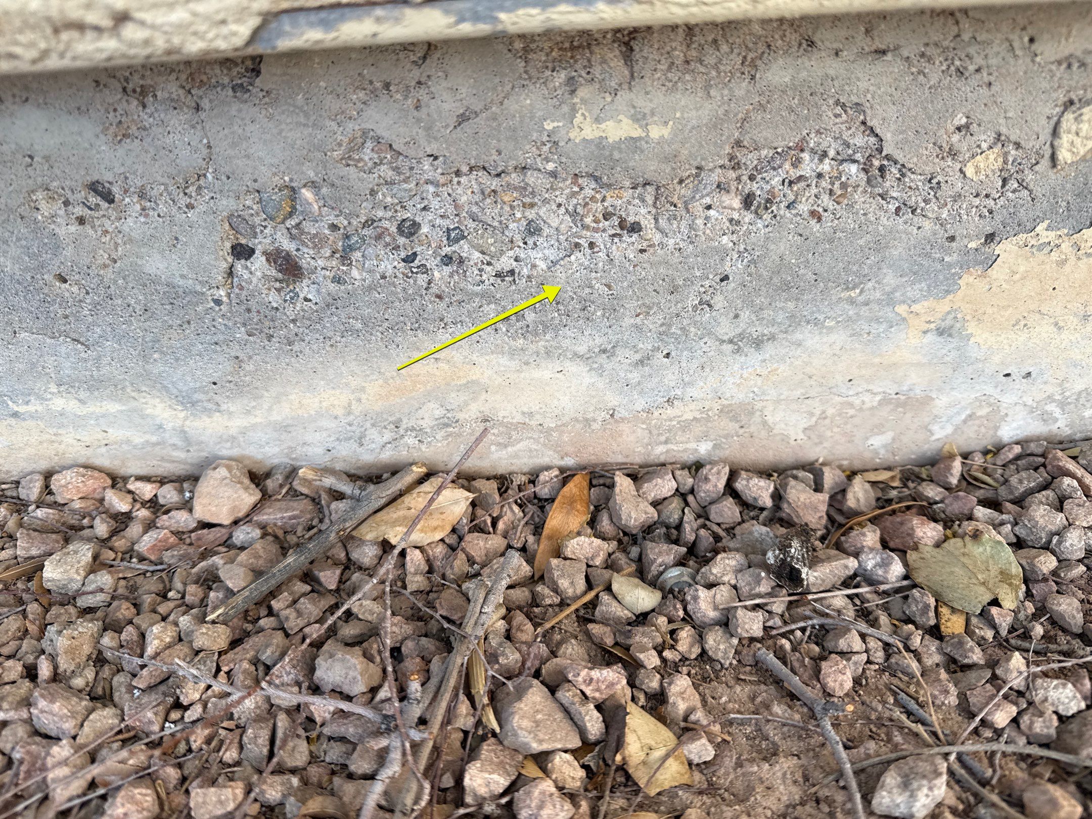 Exterior Painting - Gilbert by Crash of Rhinos Painting & Garage Floors