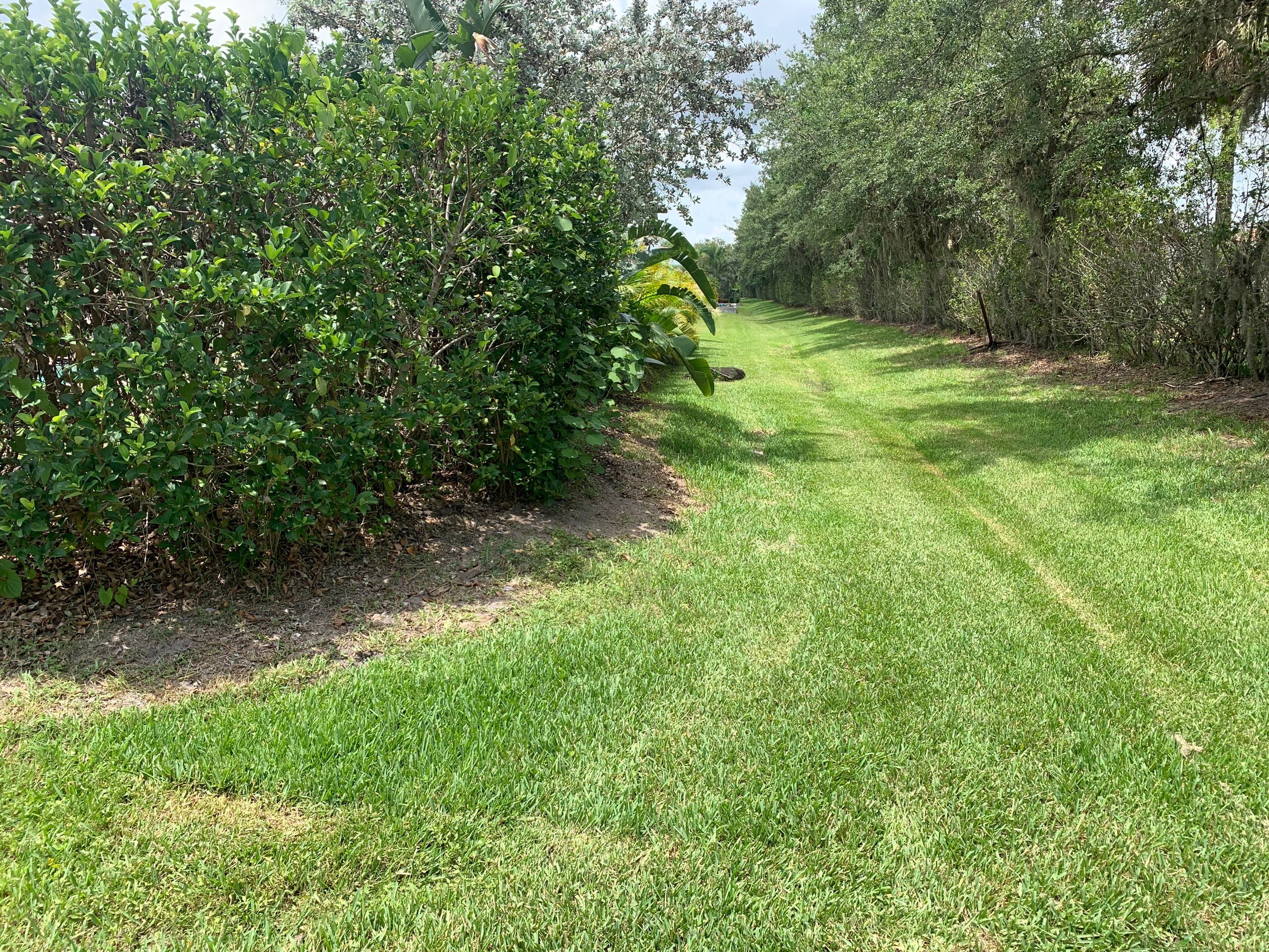 Bradenton, FL 4ft. Tall 3-Rail Black Aluminum Fence by Asap fence and gates, LLC