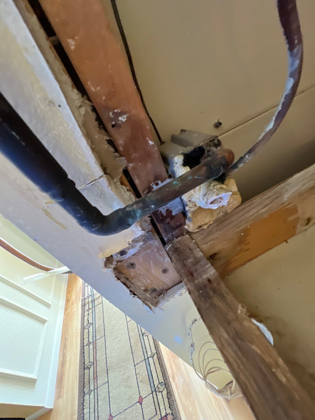 Bradenton Mold Remediation by Ampm Restoration Services