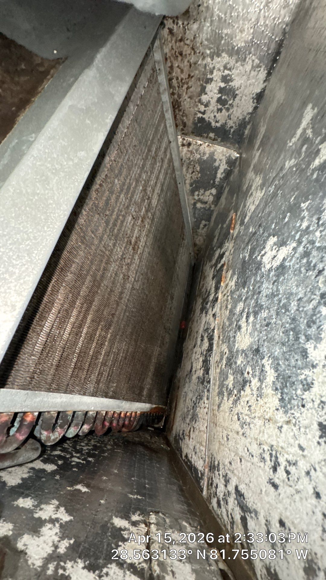 Air Duct Cleaning in Clermont by Hygienic Air, Inc