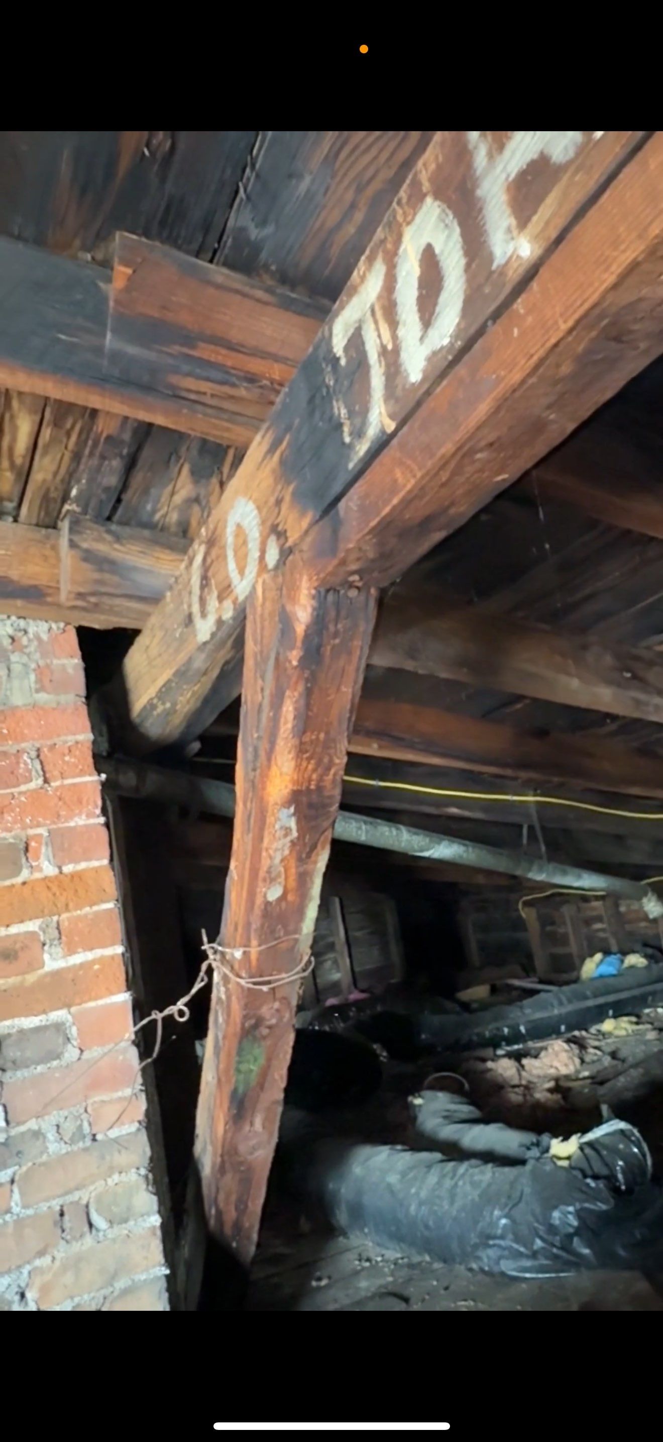 BIOHAZARD PIGEON FECES by Sadie’s Pro Cleaning