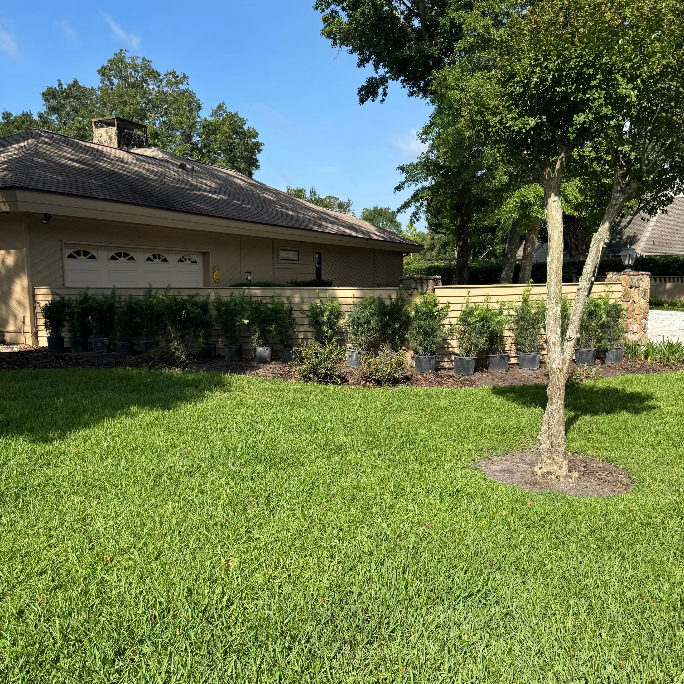 Deerwood Resident | Plant Install & Tree Work by ProGreen Services