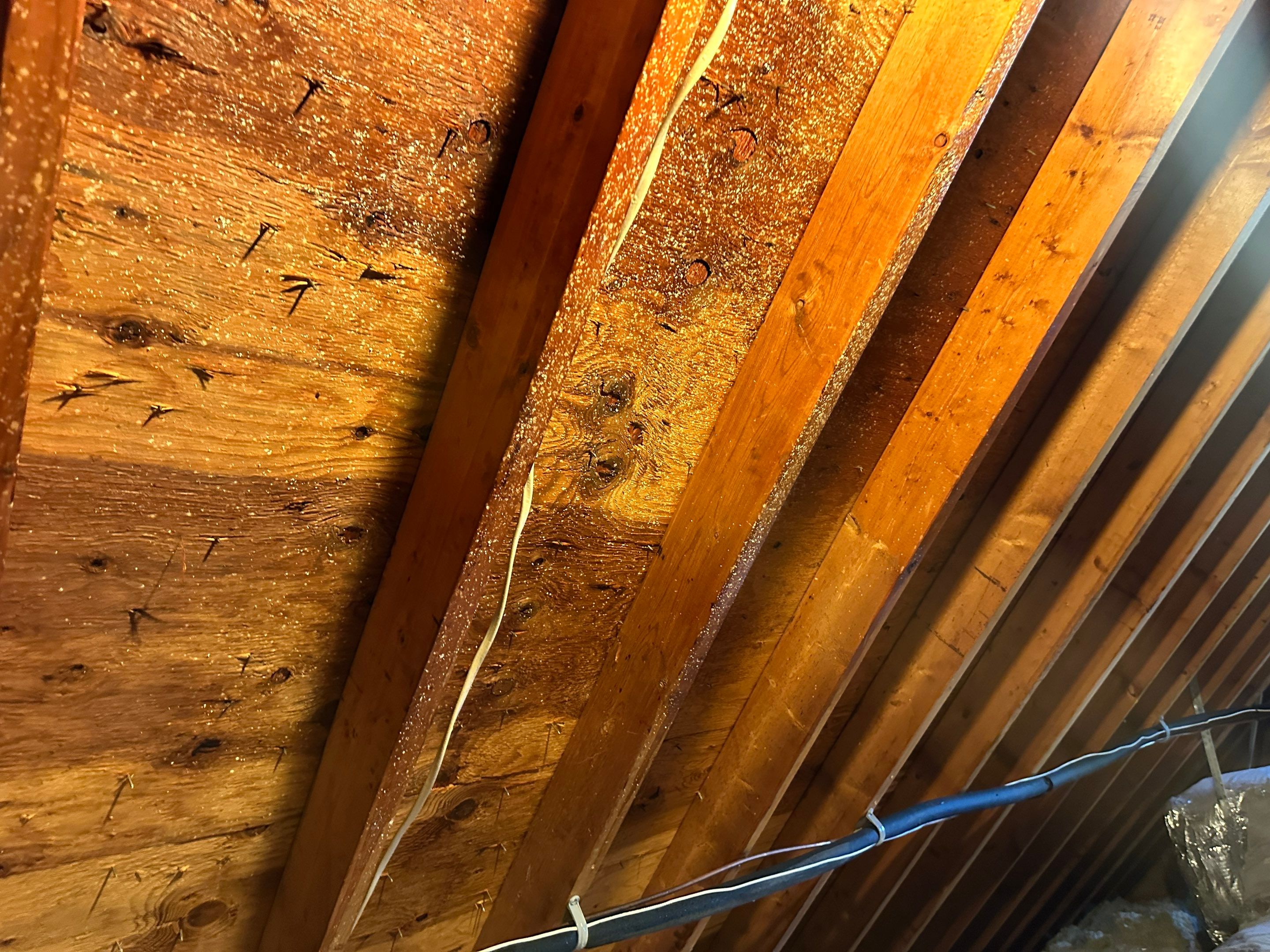 Attic Mold Remediation by Home Guarantee, LLC