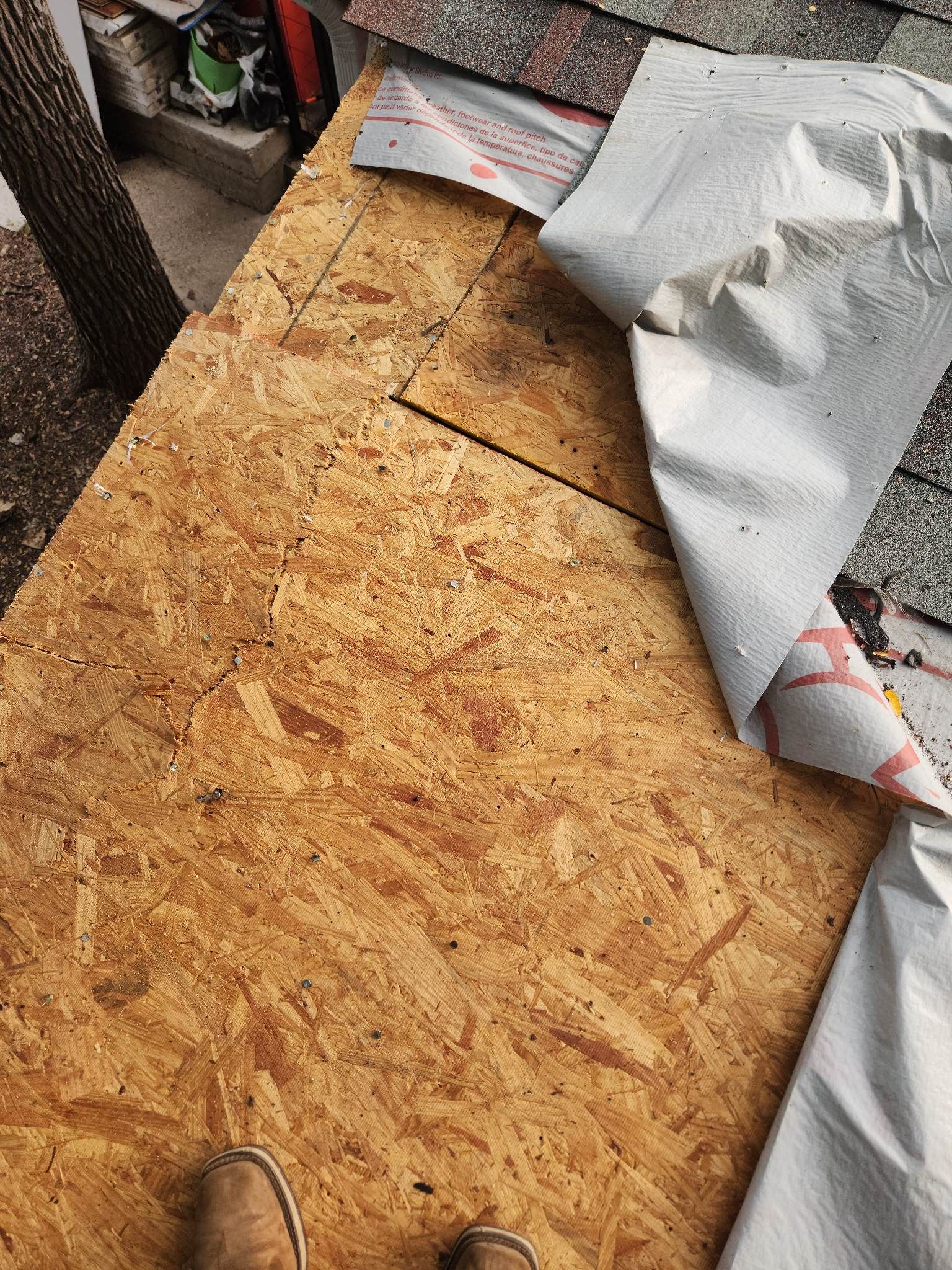 Tree Damage Roof Fascia and Soffit Repair by DeZign Roofing & Exteriors