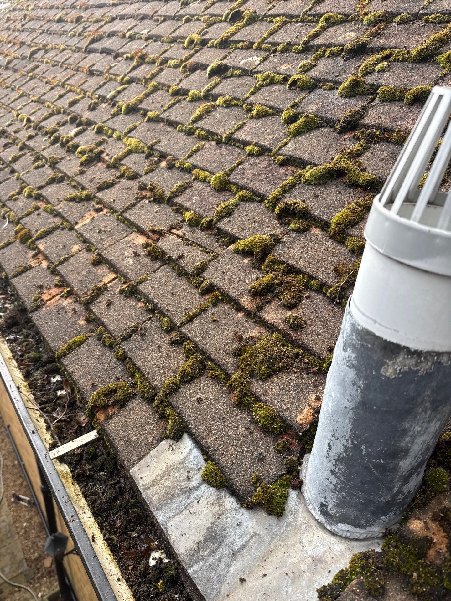 Exterior Clean - Roof - Patio - Driveway using Honda 15lpm Low Pressure Washing Machine by Ges Exterior Cleaning ltd