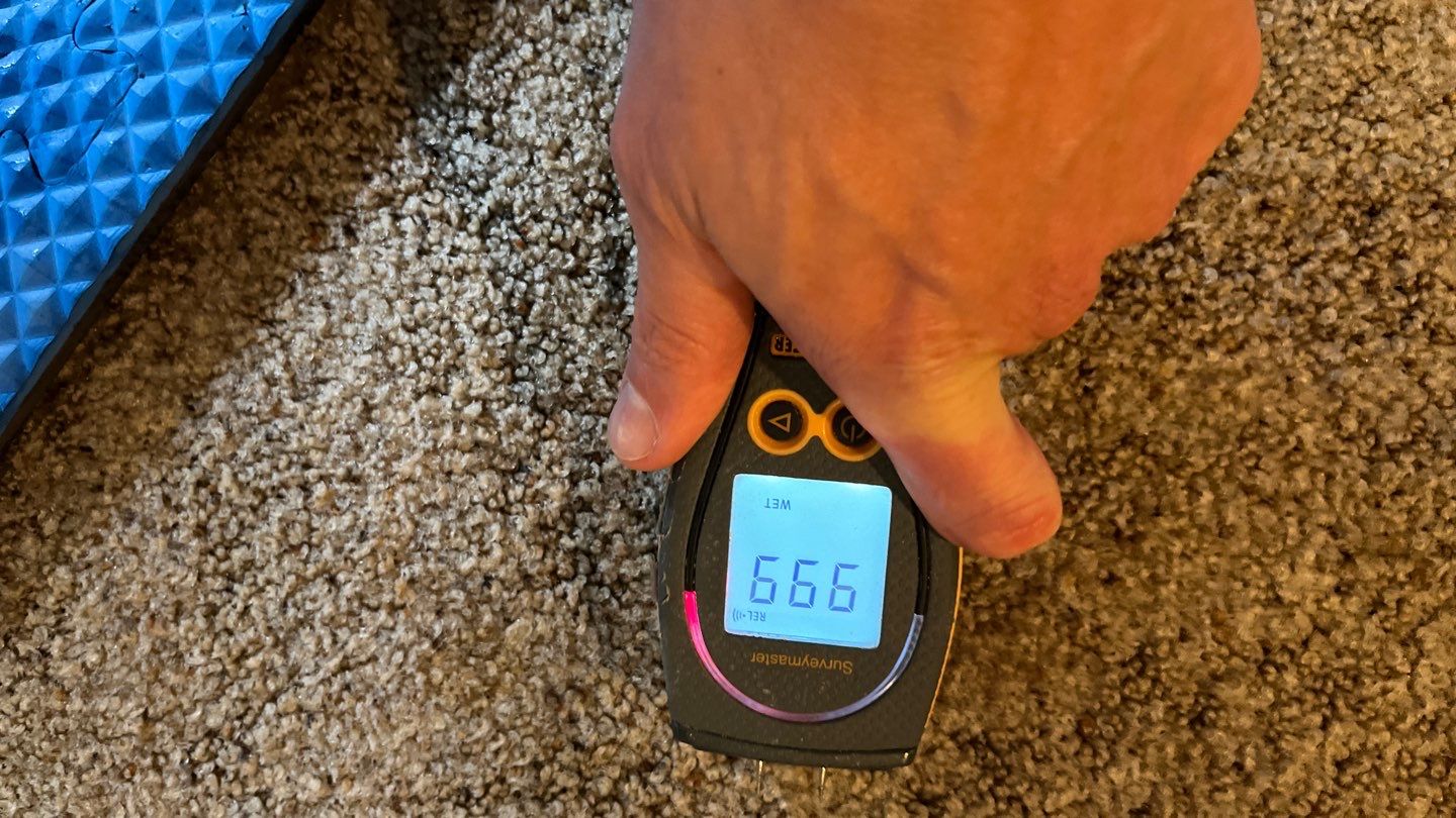 Repairs after Basement Water Damage by ANR Restoration