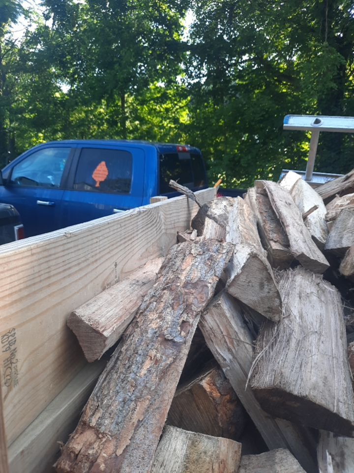 Tree Removal using Tree Removal by Mike Jones & Sons Tree Service LLC 