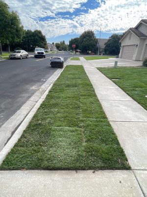 Project in Turlock