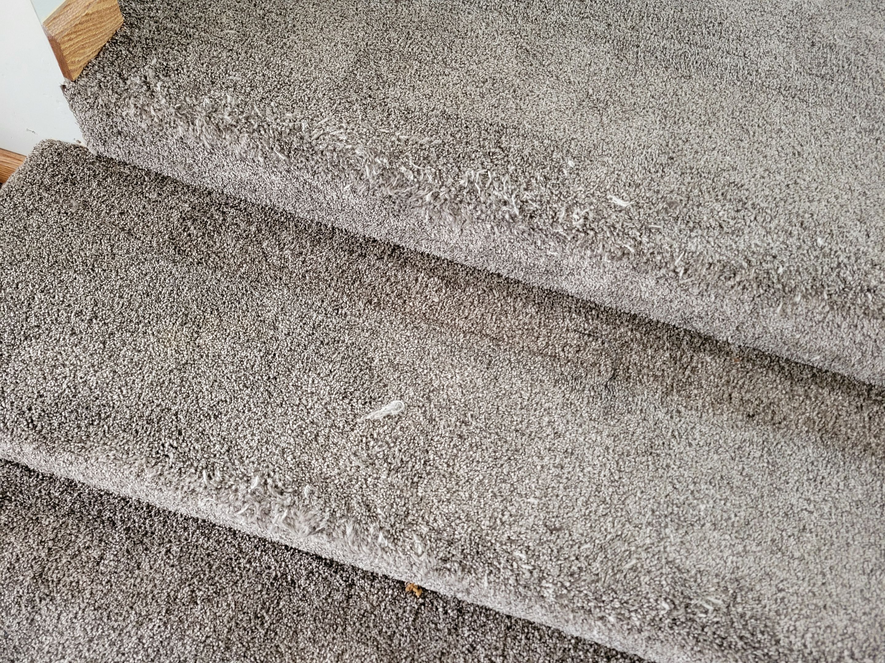 Carpet Cleaning for House Listing by Ardent Carpet Restore LLC
