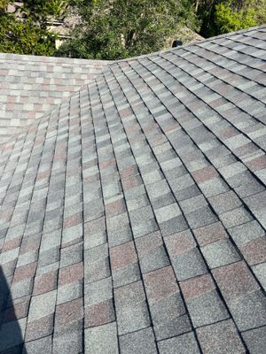 Shingle Reroof Replacement Sanford FL